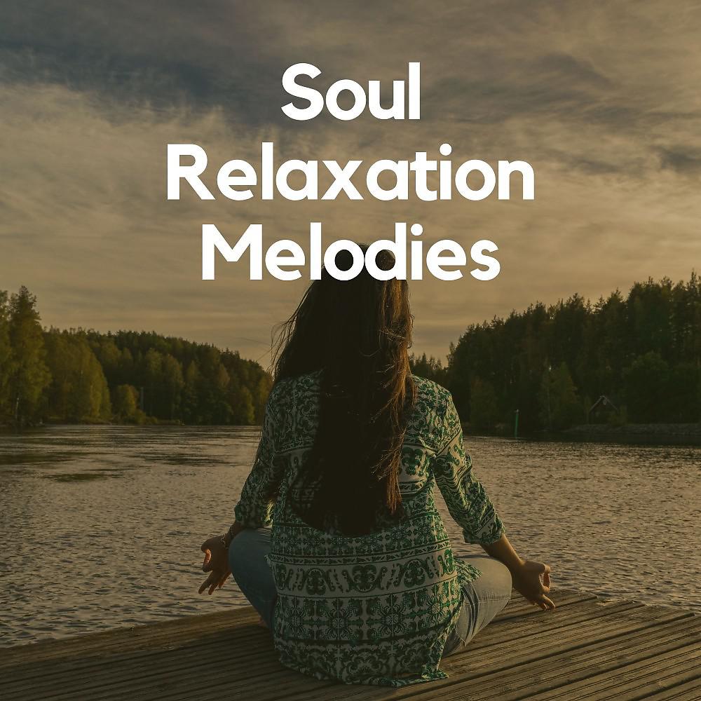 Постер альбома Soul Relaxation Melodies