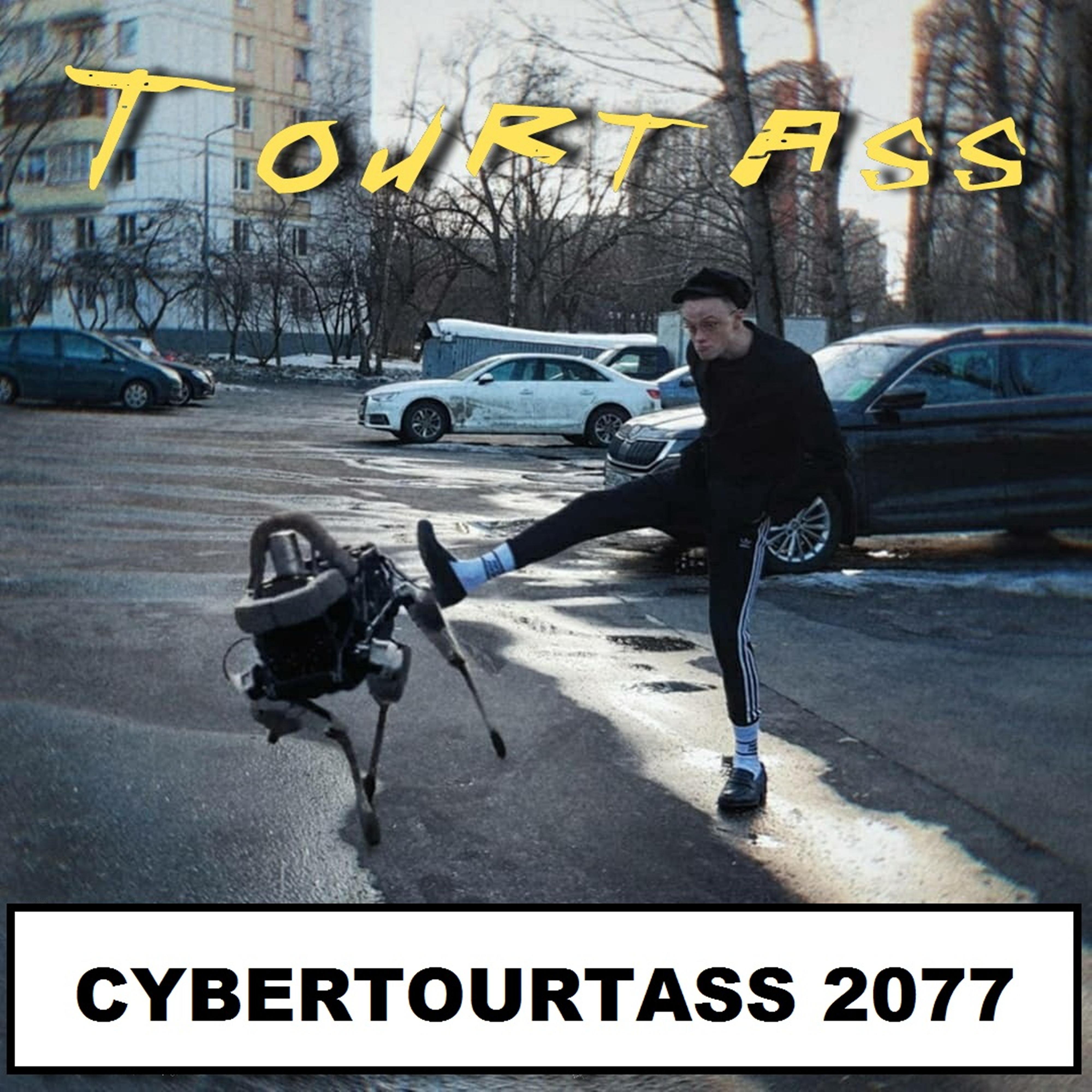 Постер альбома Cybertourtass 2077
