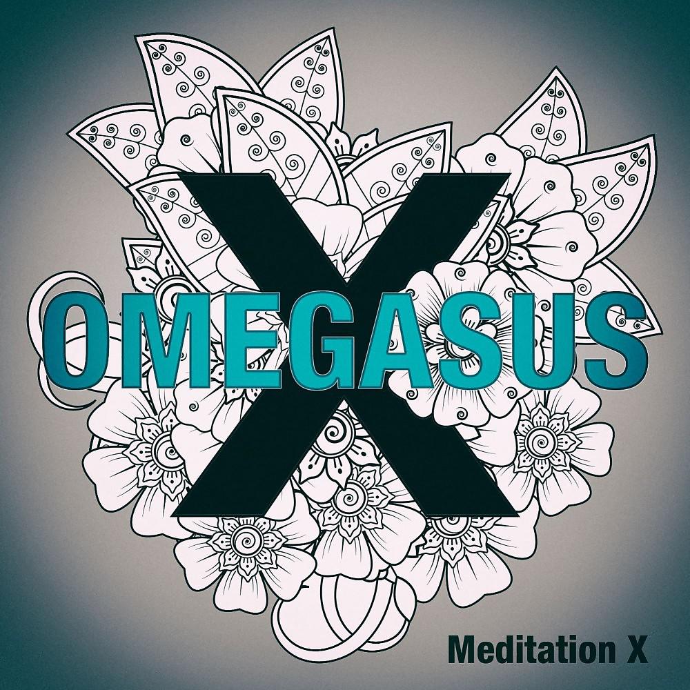 Постер альбома Meditation X