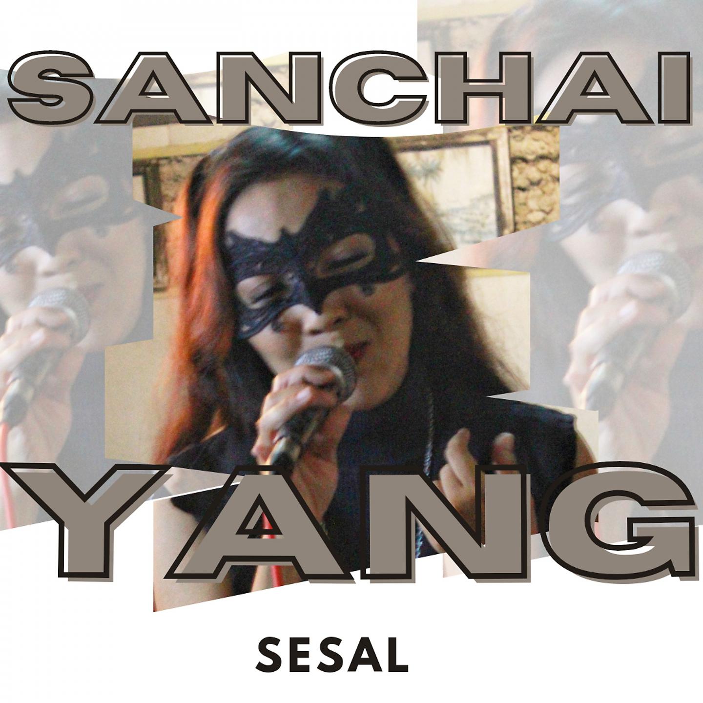 Постер альбома Sesal
