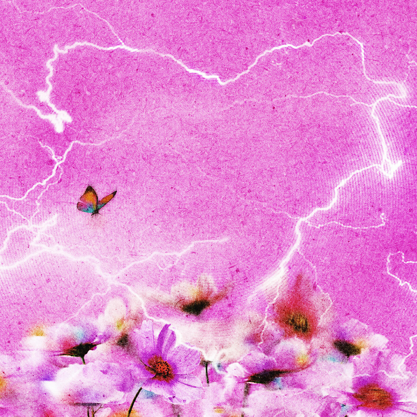 Альбом Конец света исполнителя васса