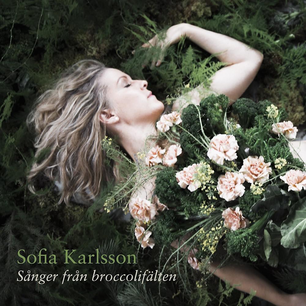 Постер альбома Sånger från broccolifälten