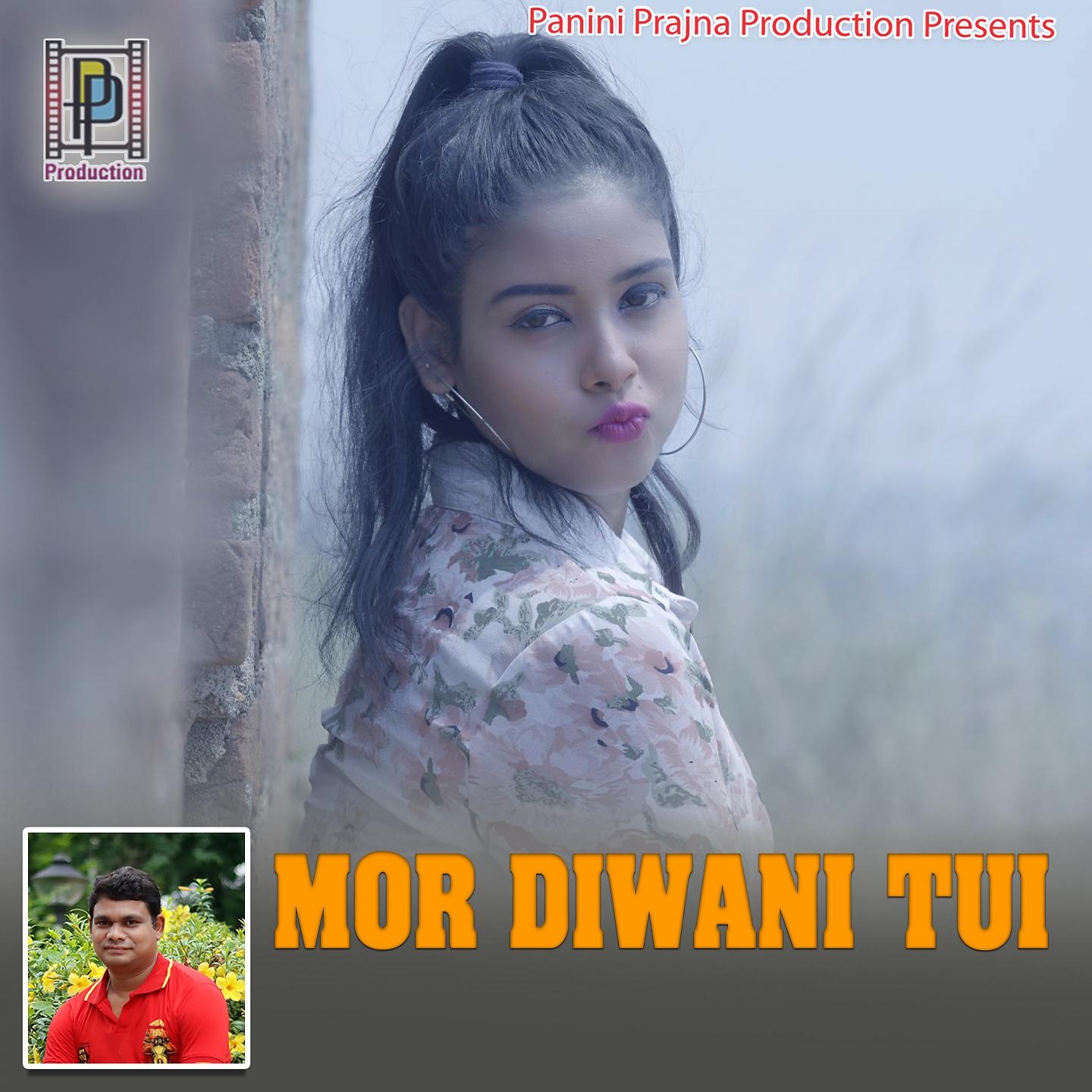 Постер альбома Mor Diwani Tui