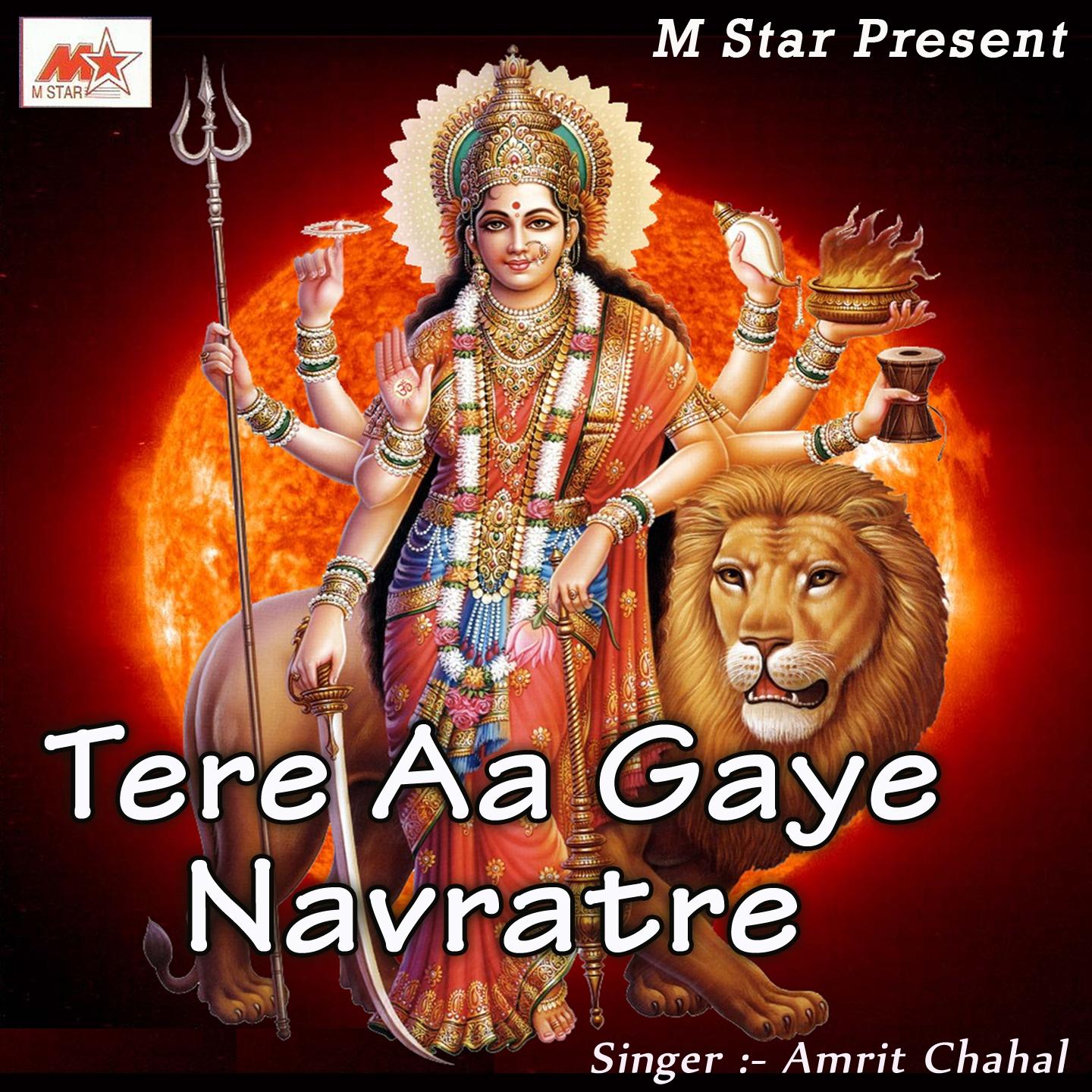 Постер альбома Tere Aa Gaye Navratre