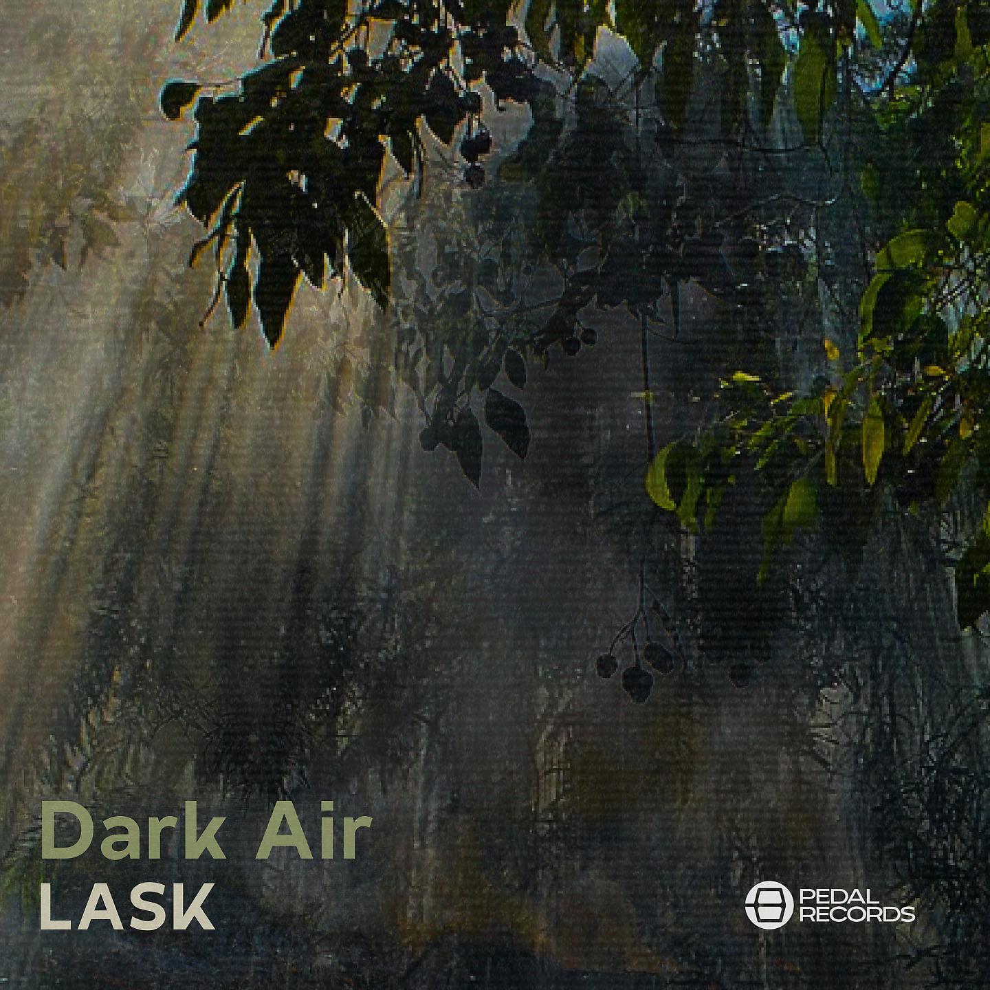Постер альбома Dark Air