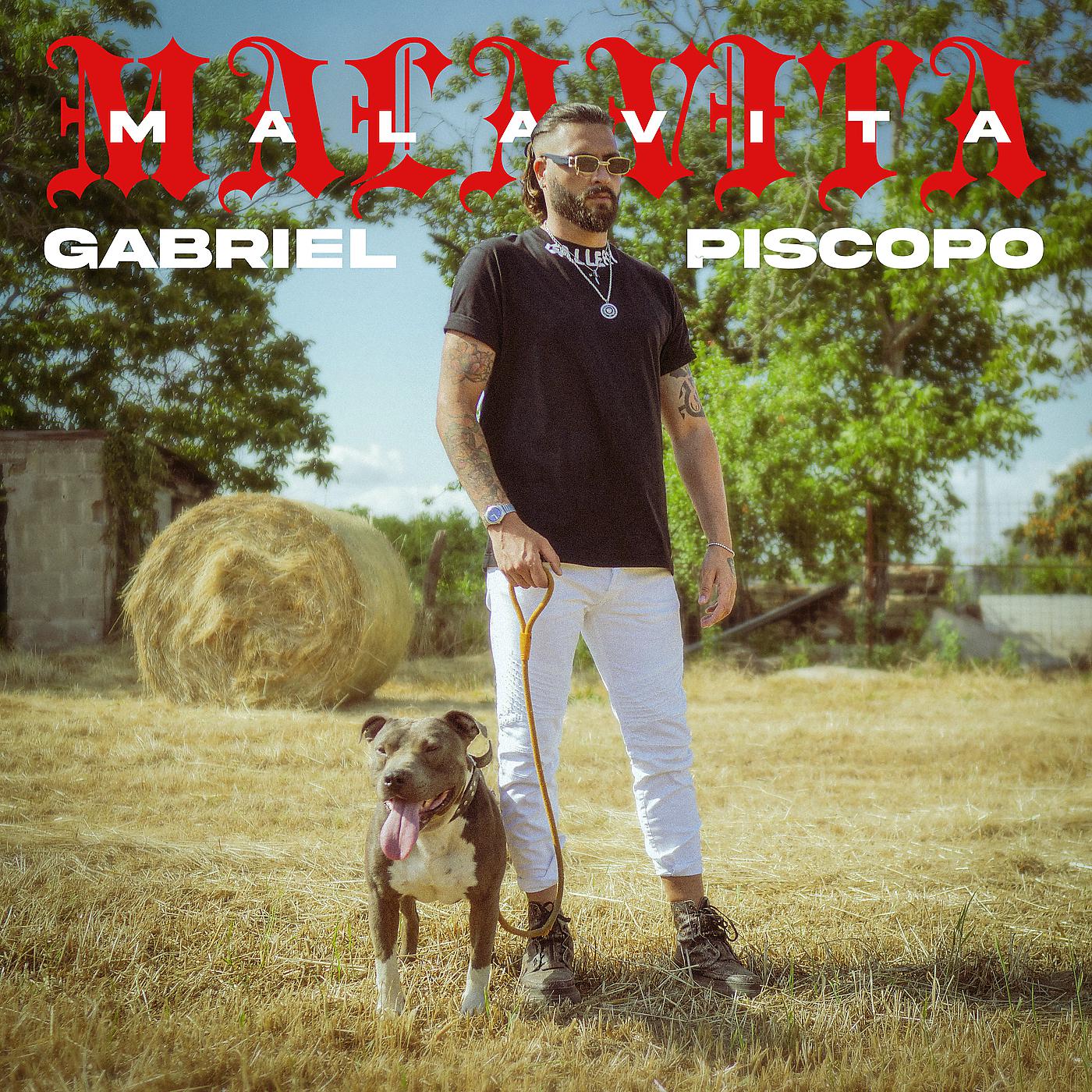 Постер альбома Malavita