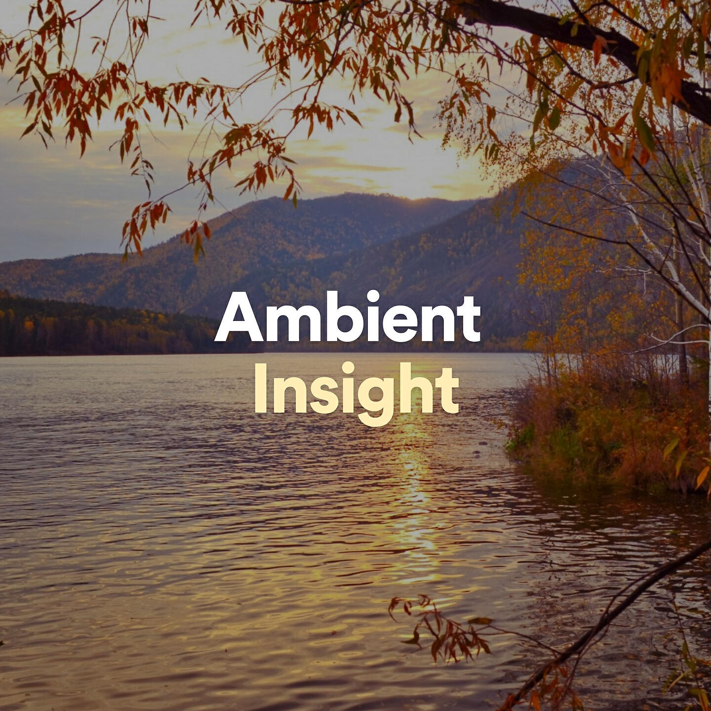 Reiki Tribe - Ambient Insight, Pt. 14
