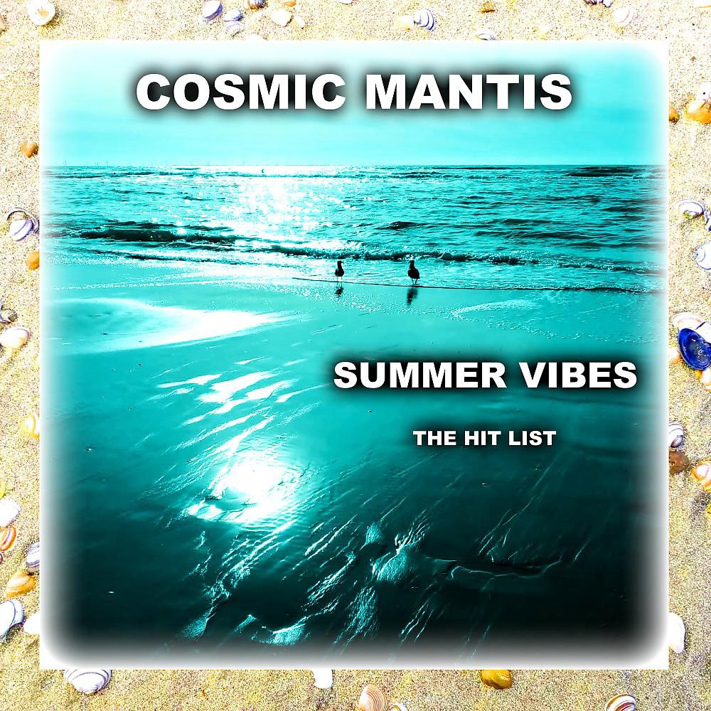 Постер альбома Summer Vibes the Hit List