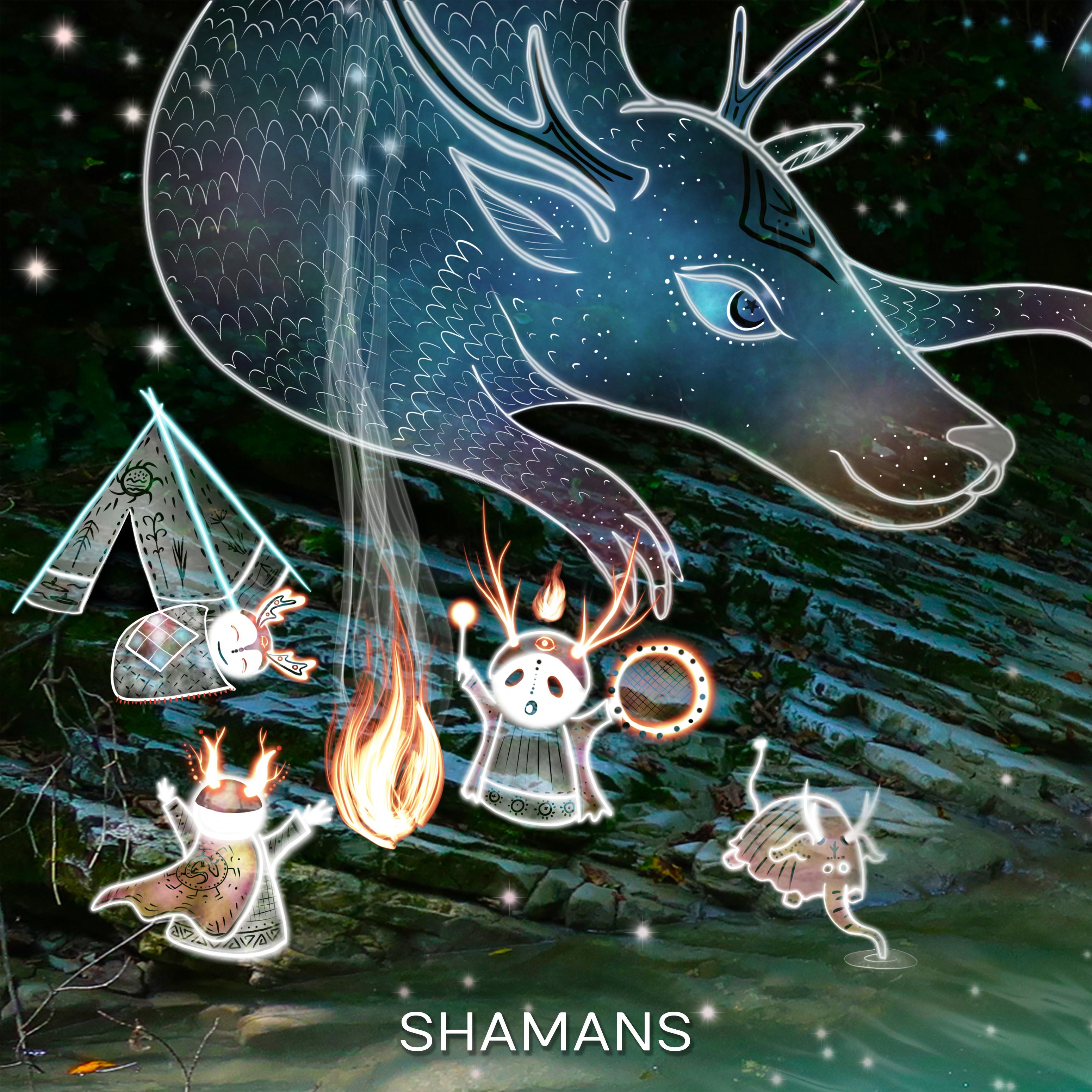 Постер альбома Shamans