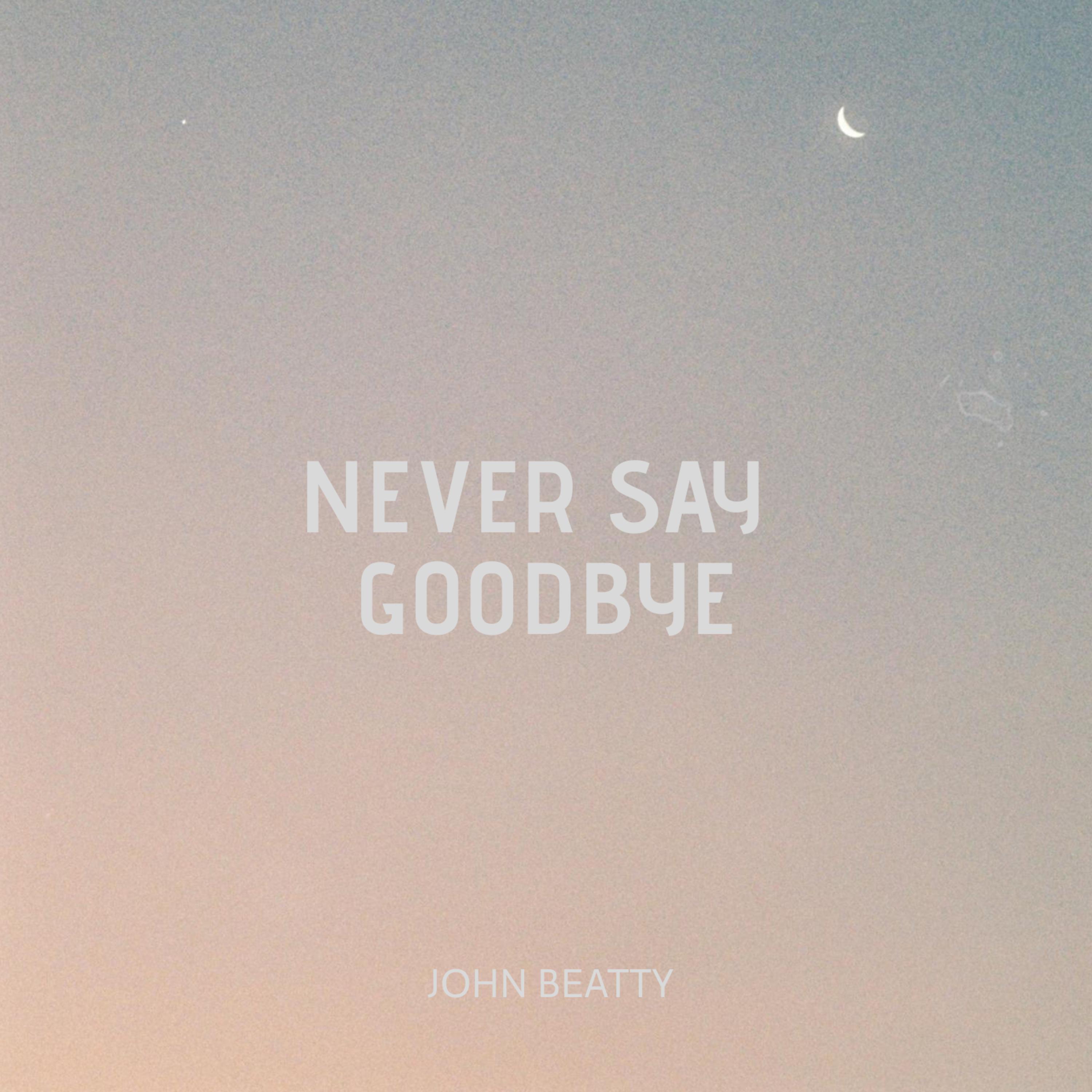 Постер альбома Never Say Goodbye