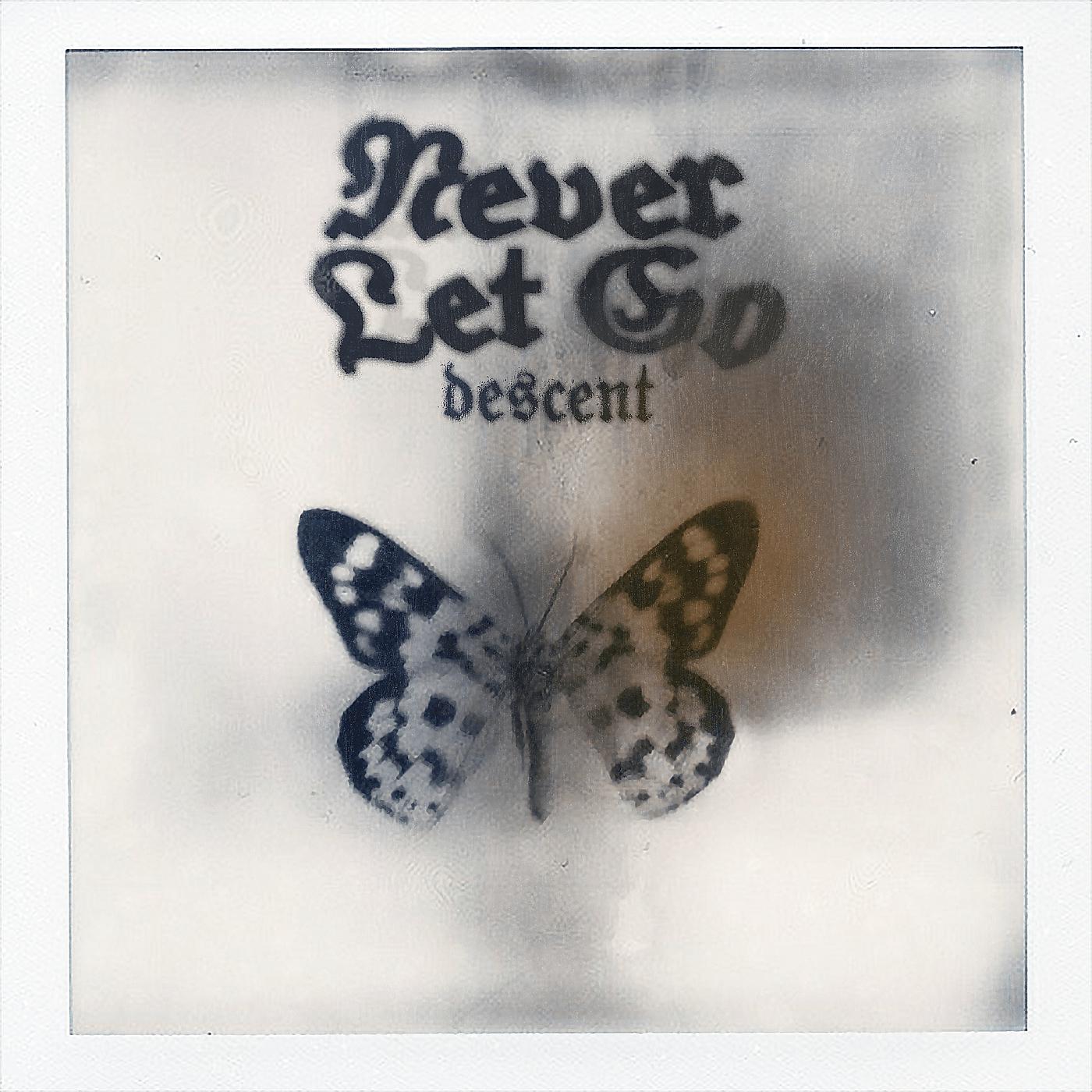 Постер альбома Never Let Go