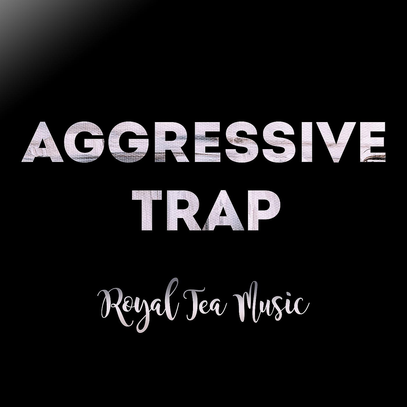 Постер альбома Aggressive Trap