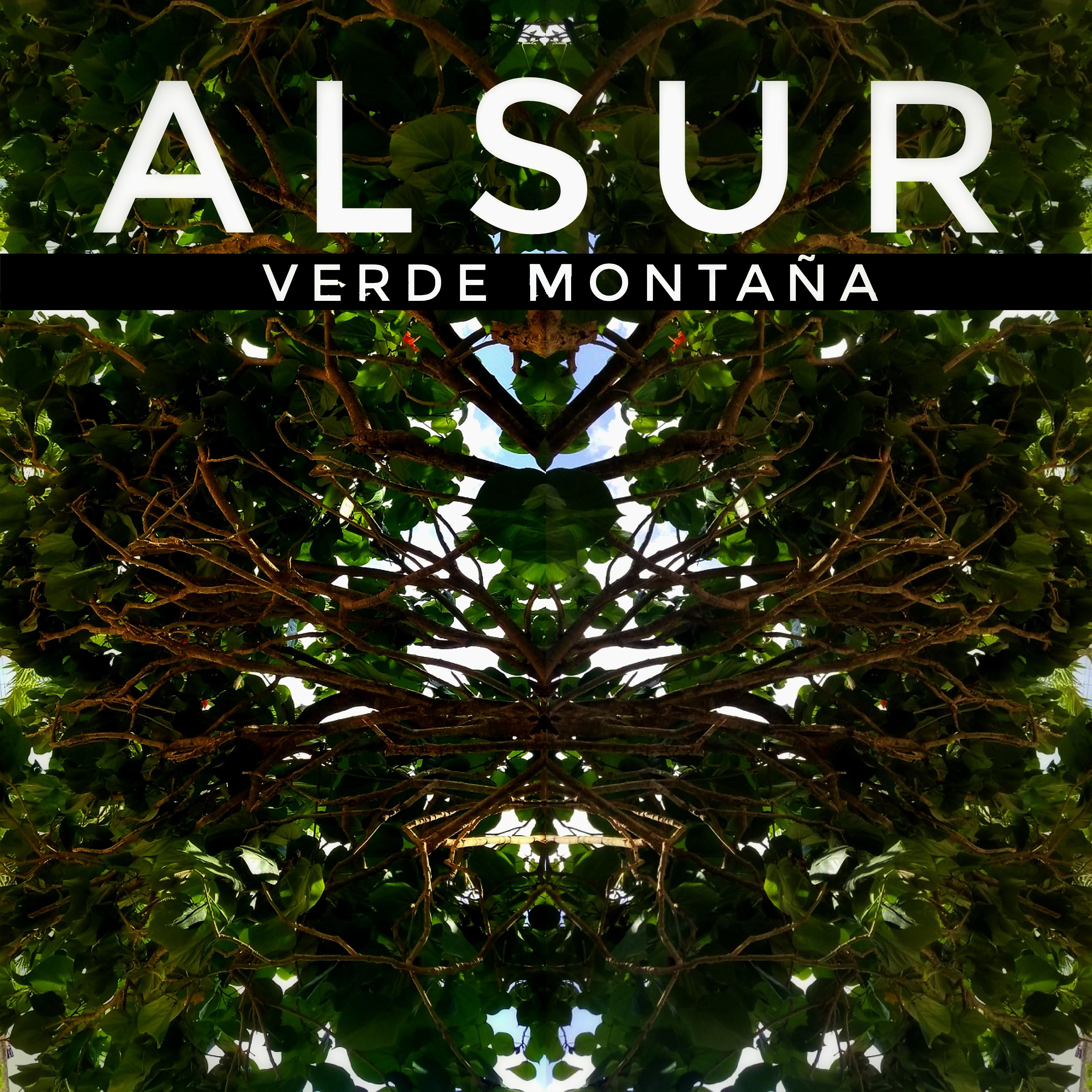 Постер альбома Verde Montaña