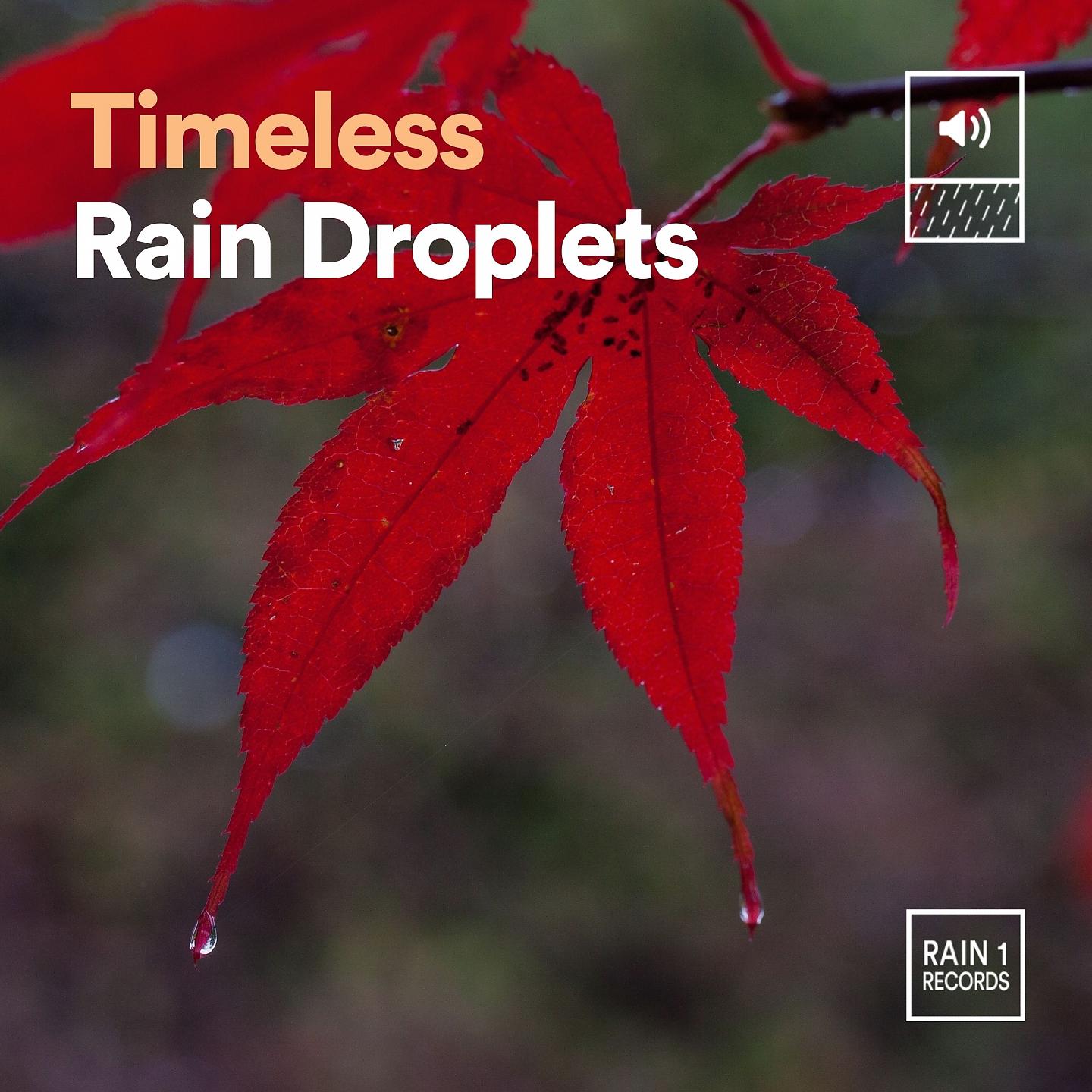Постер альбома Timeless Rain Droplets
