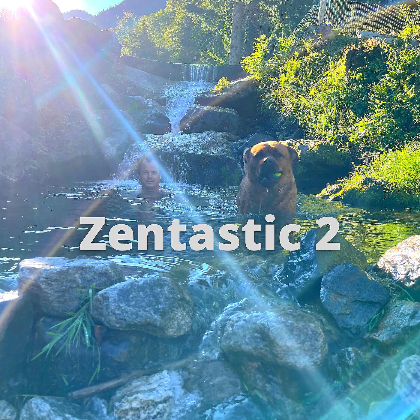 Zentastic - The Awakening
