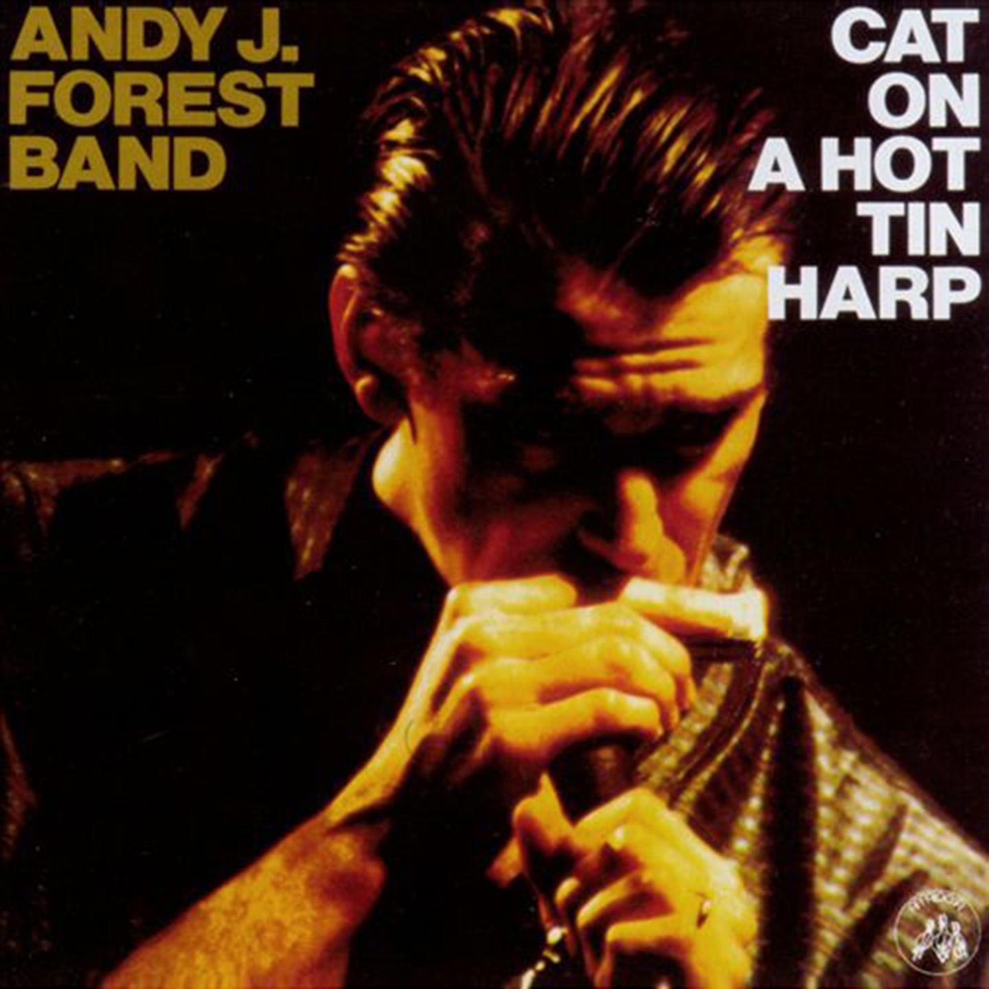 Постер альбома Cat on a Hot Tin Harp
