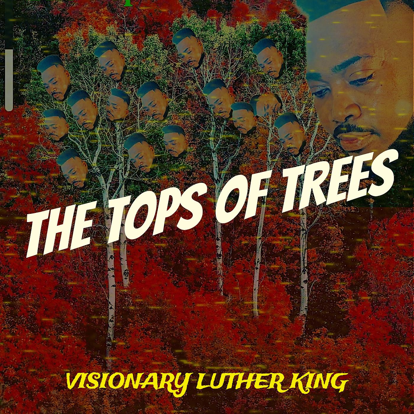 Постер альбома The Tops of Trees