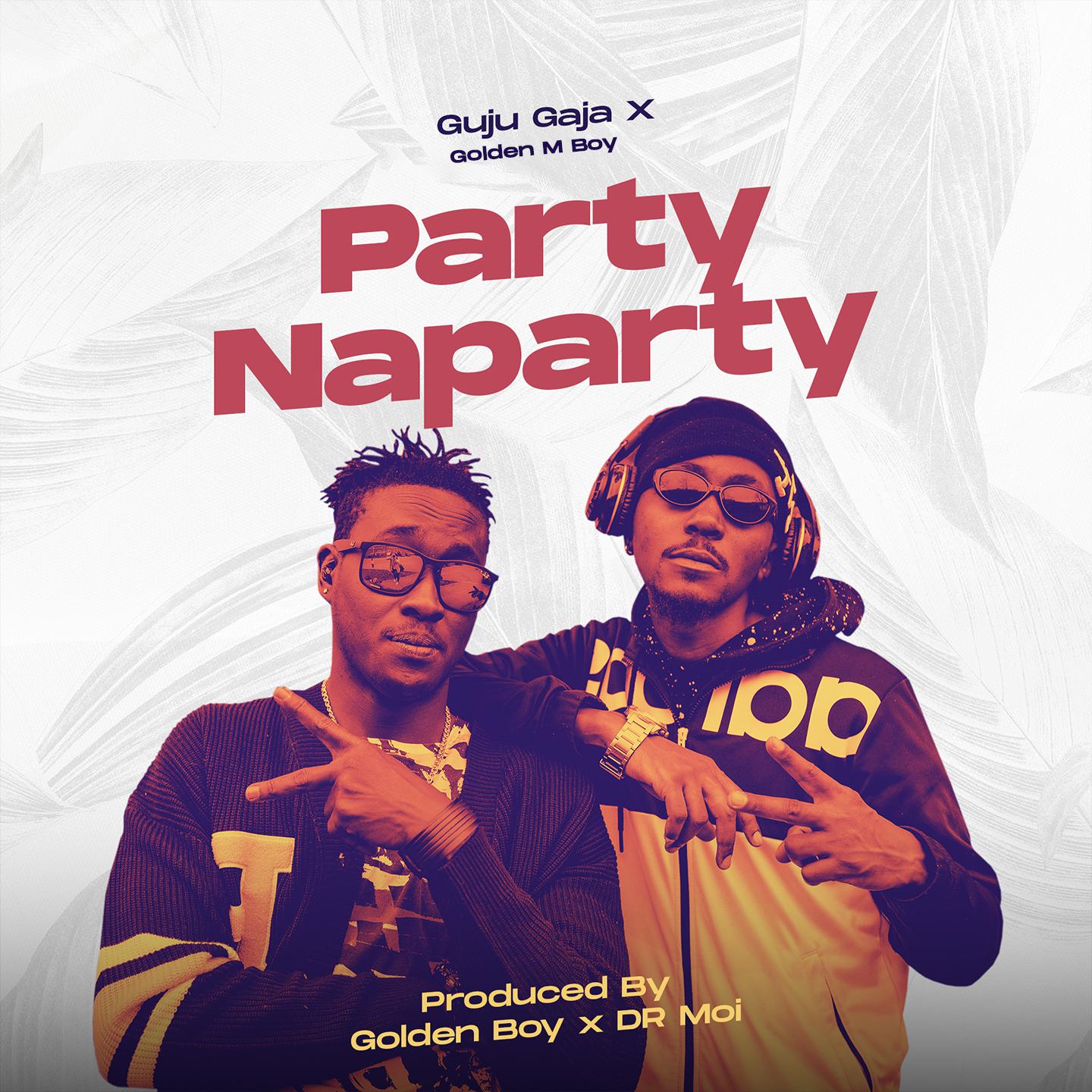 Постер альбома Party NaParty