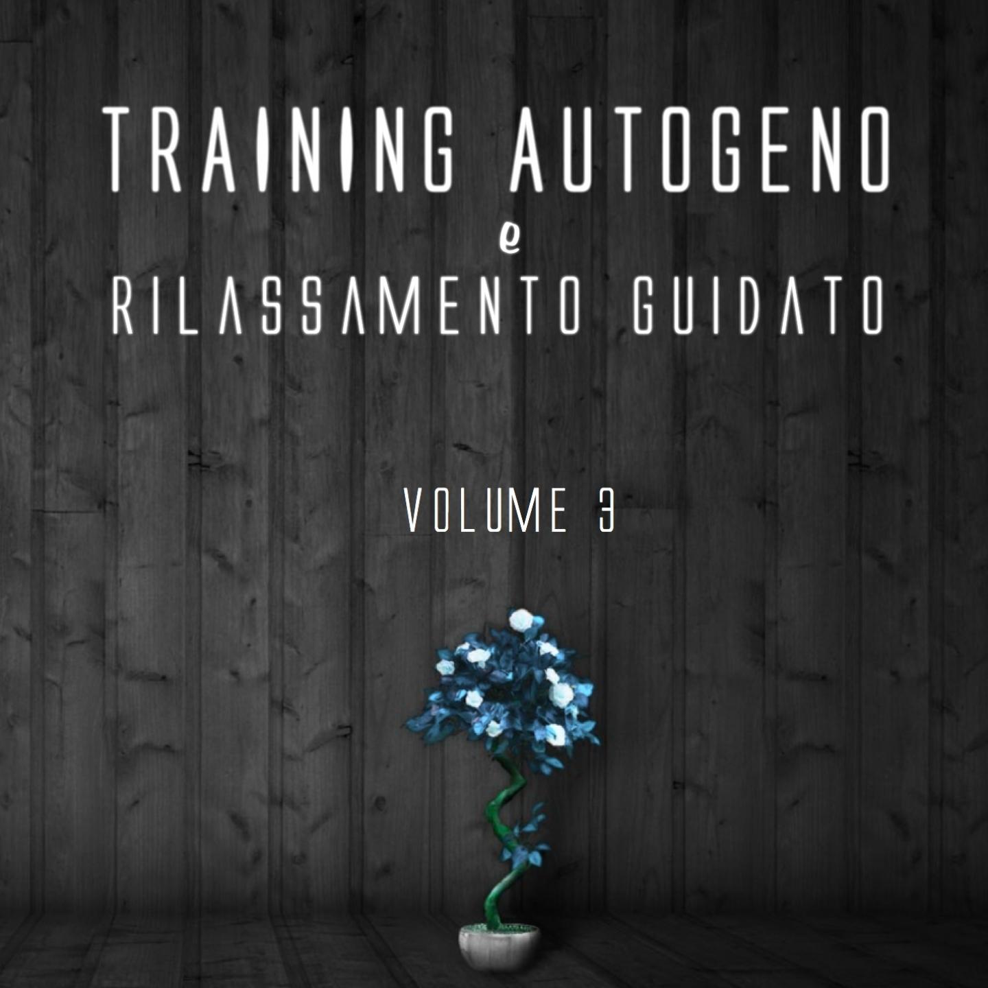 Постер альбома Training autogeno e rilassamento guidato, Vol. 3
