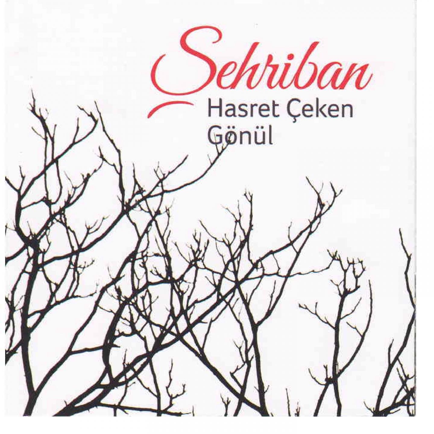 Постер альбома Hasret Çeken Gönül