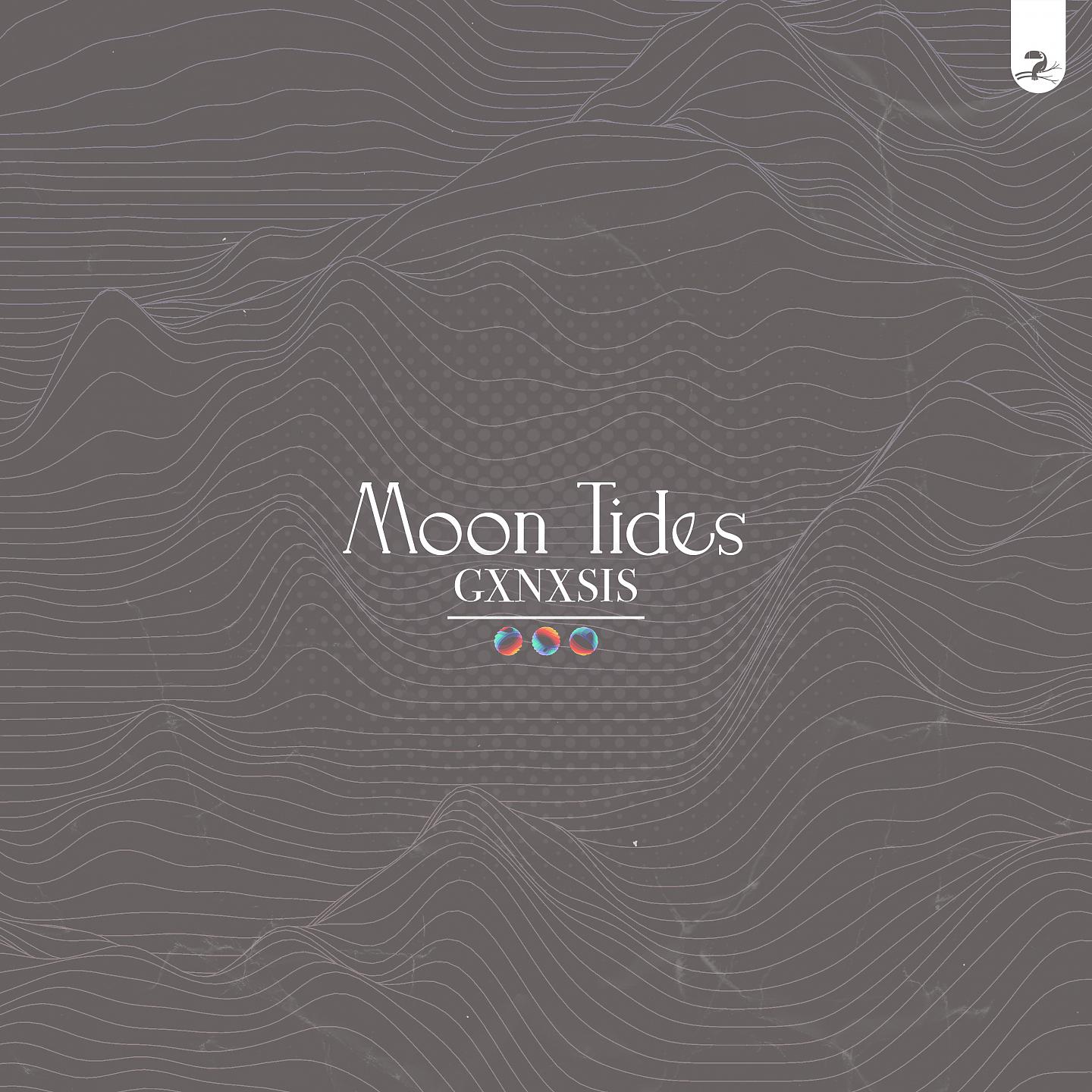 Постер альбома Moon Tides