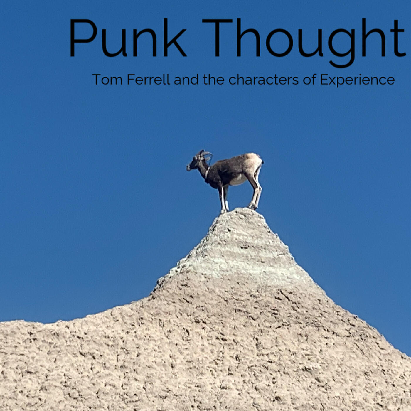 Tom Ferrell and the Characters of Experience - Flooding the Yard