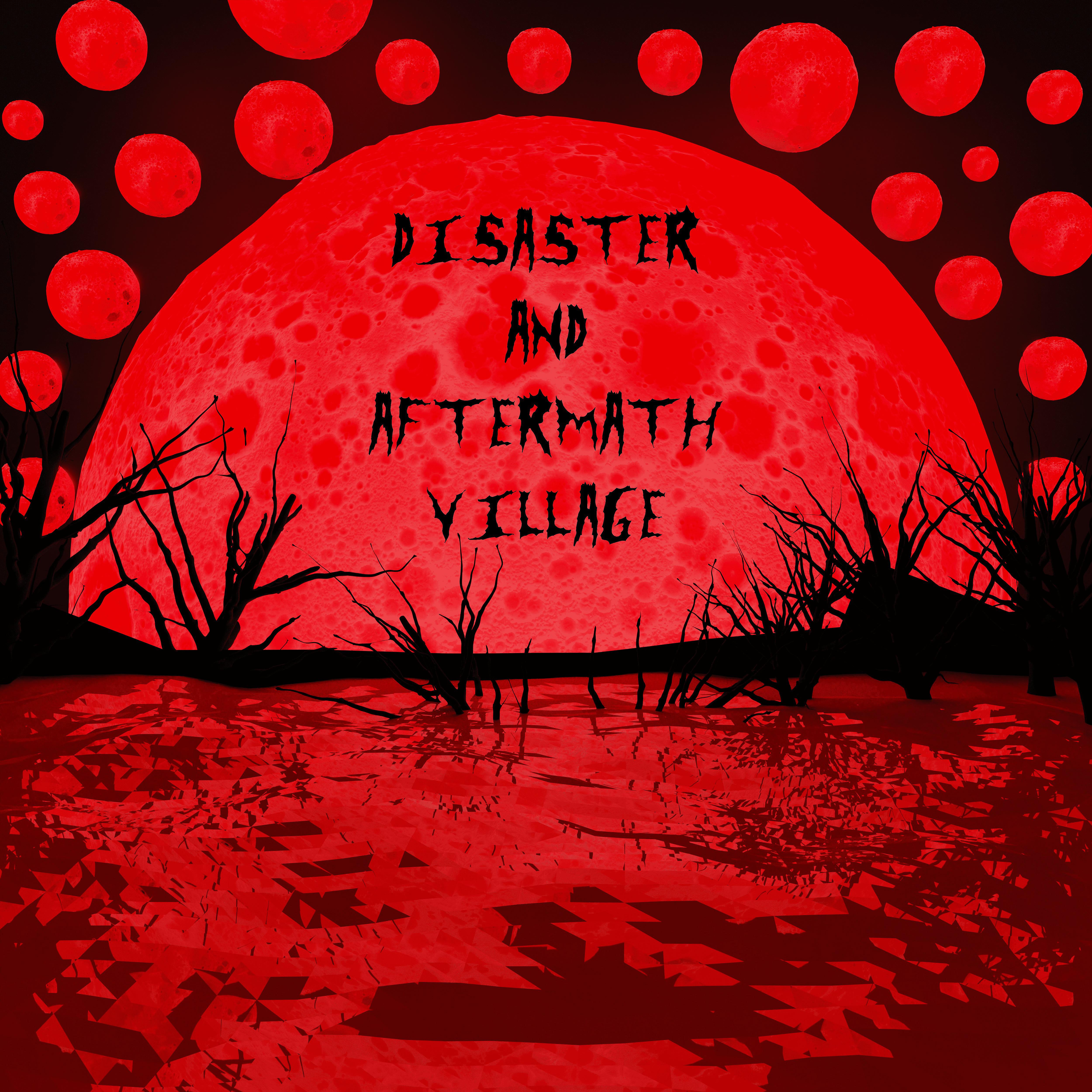 Постер альбома Disaster and Aftermath Village
