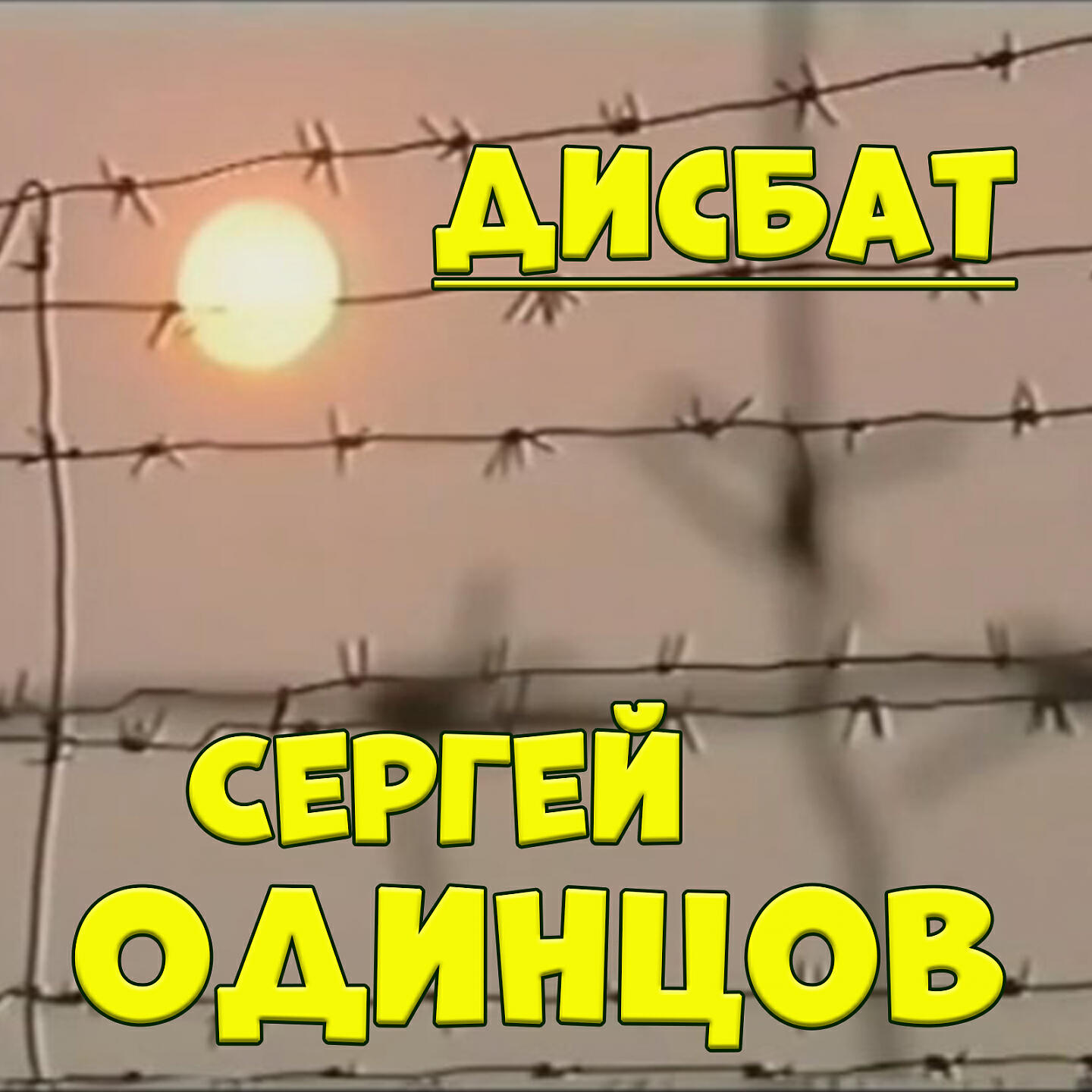 Дисбат в совгавани