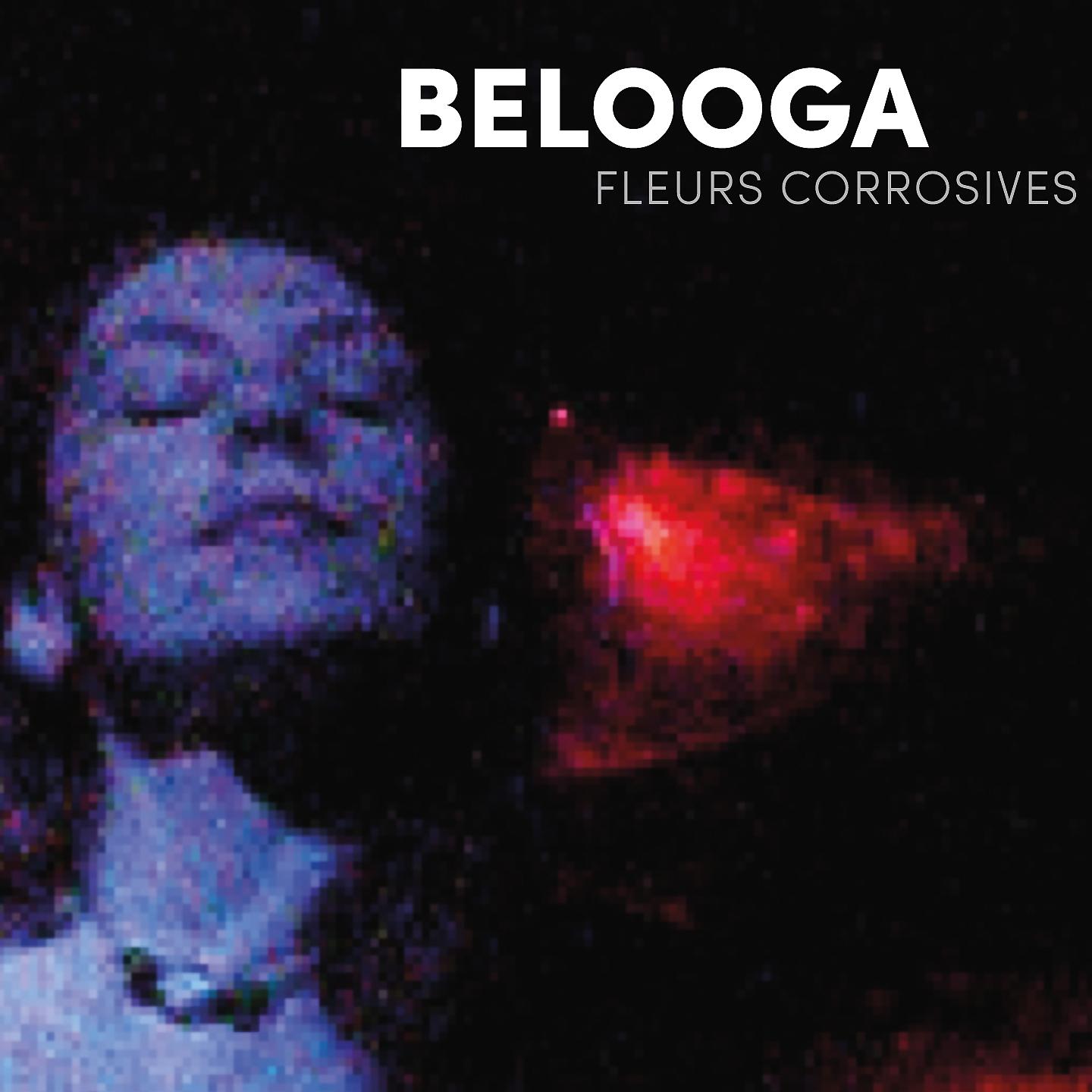 Постер альбома Fleurs Corrosives