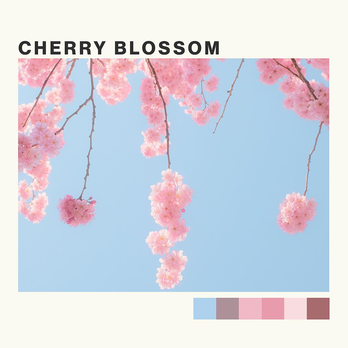Постер альбома Cherry Blossom