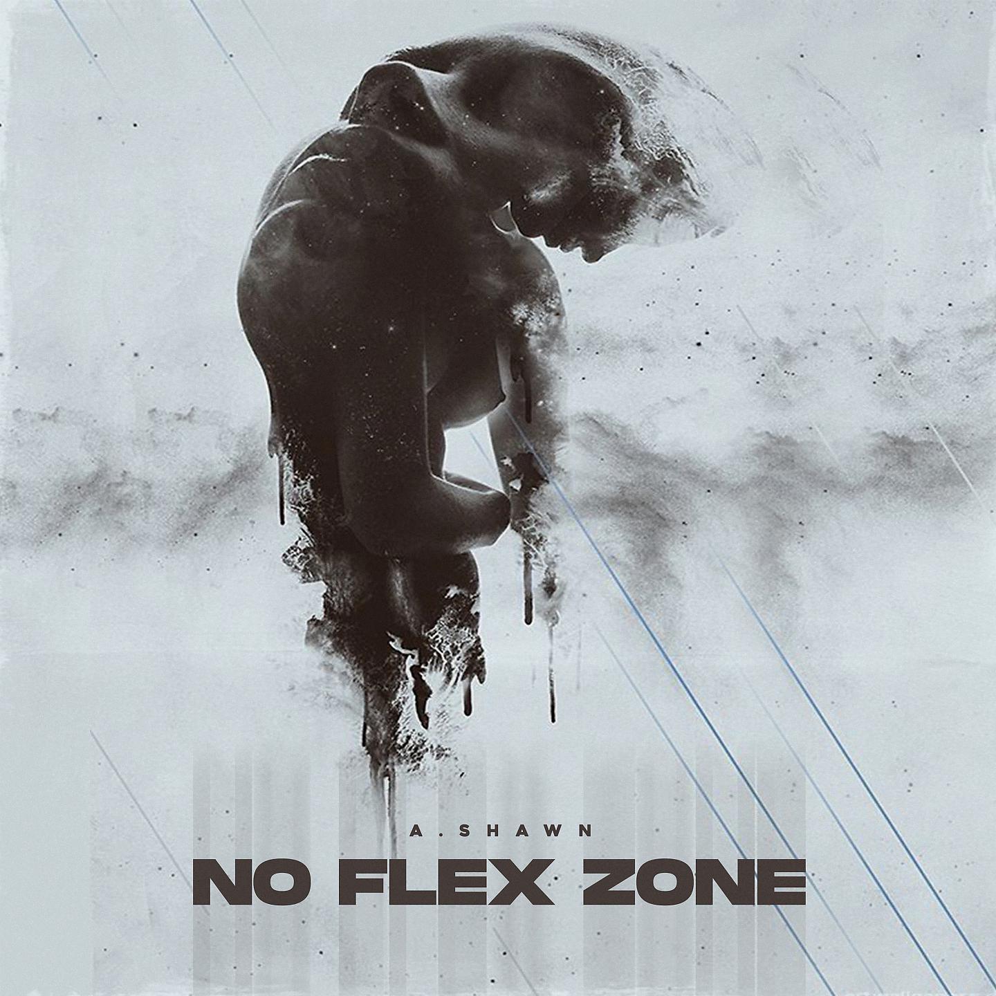 Постер альбома No Flex Zone