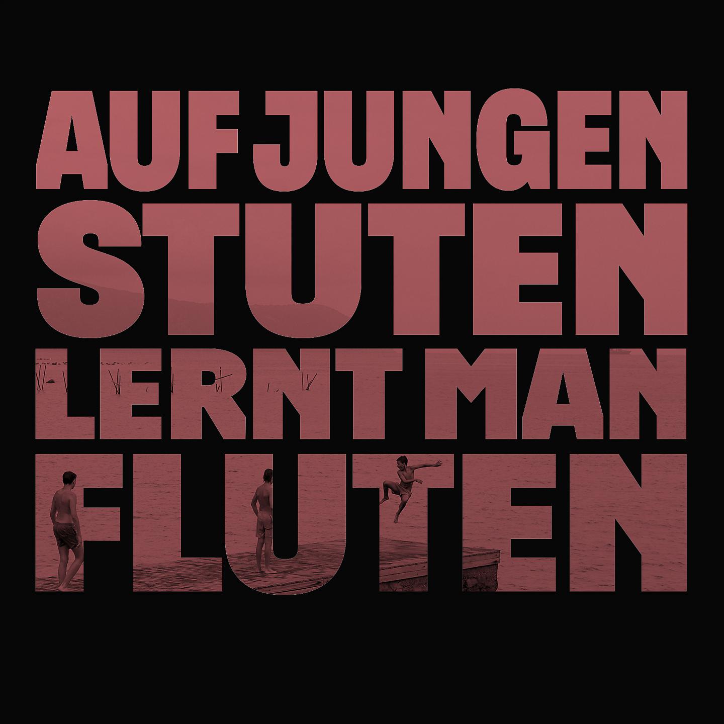 Постер альбома Auf jungen Stuten lernt man fluten