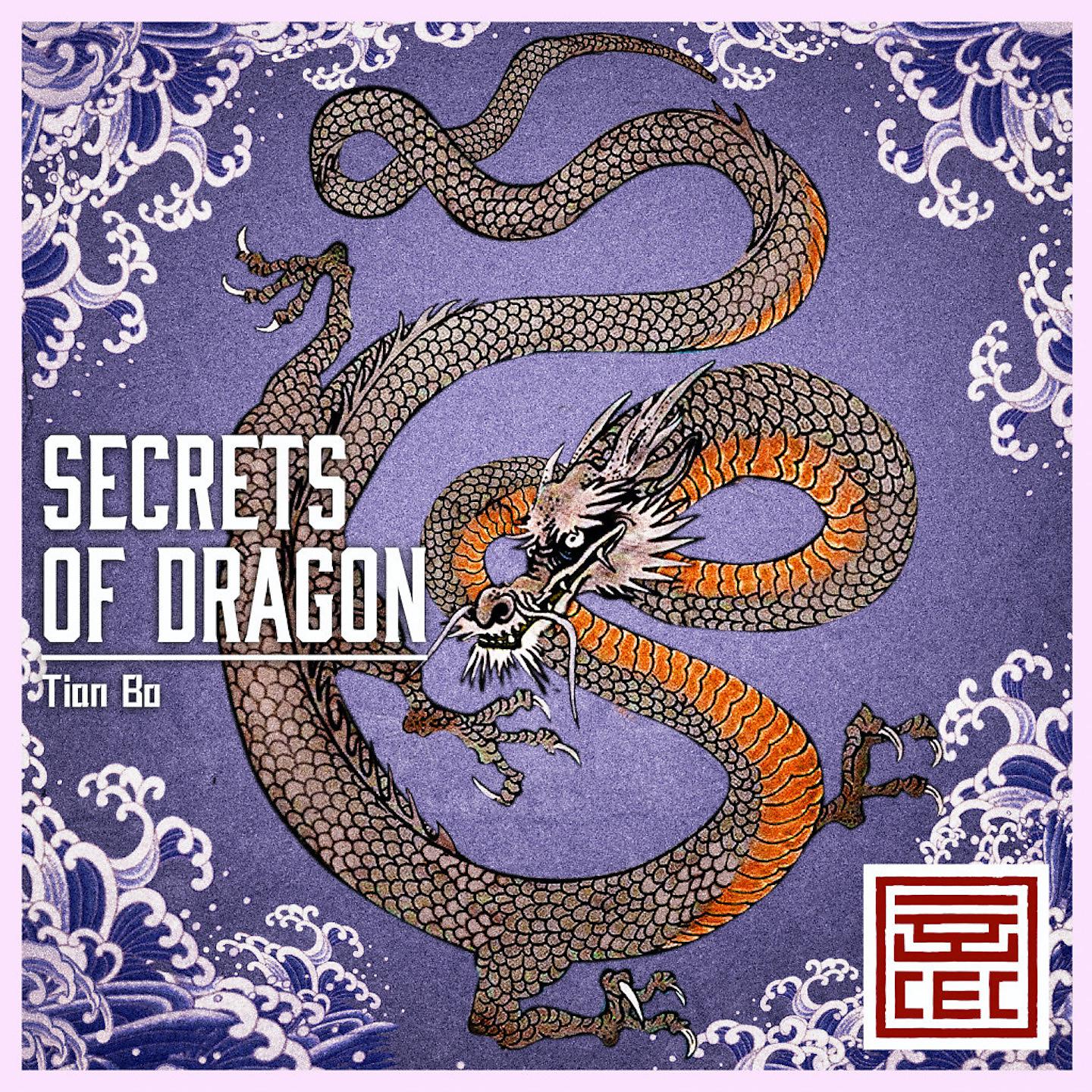Постер альбома Secrets of Dragon