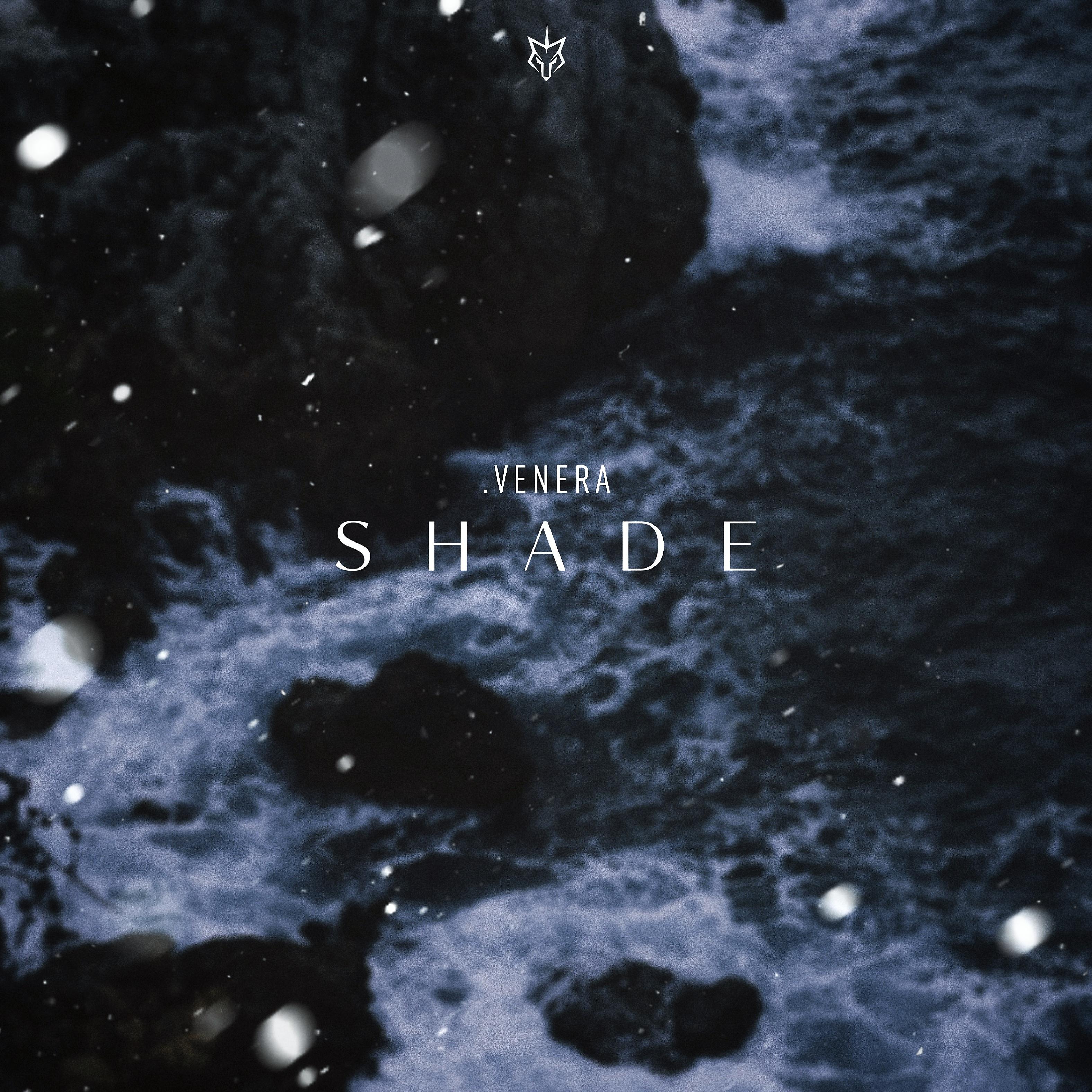 Постер альбома Shade