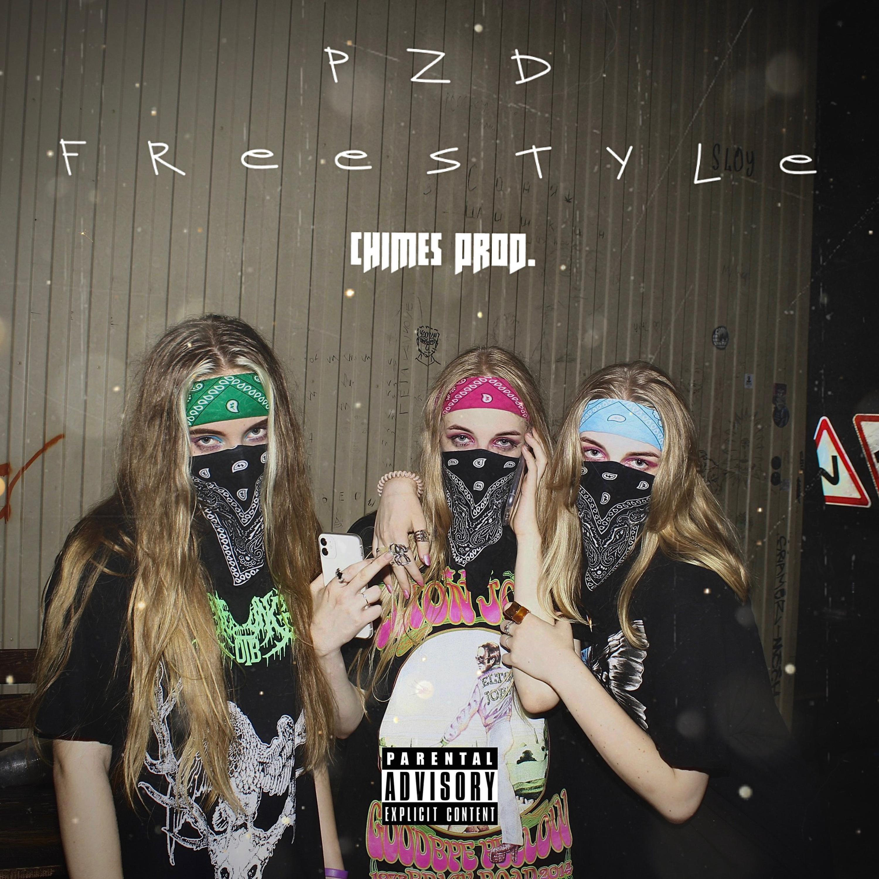 Постер альбома PZD FREESTYLE 2