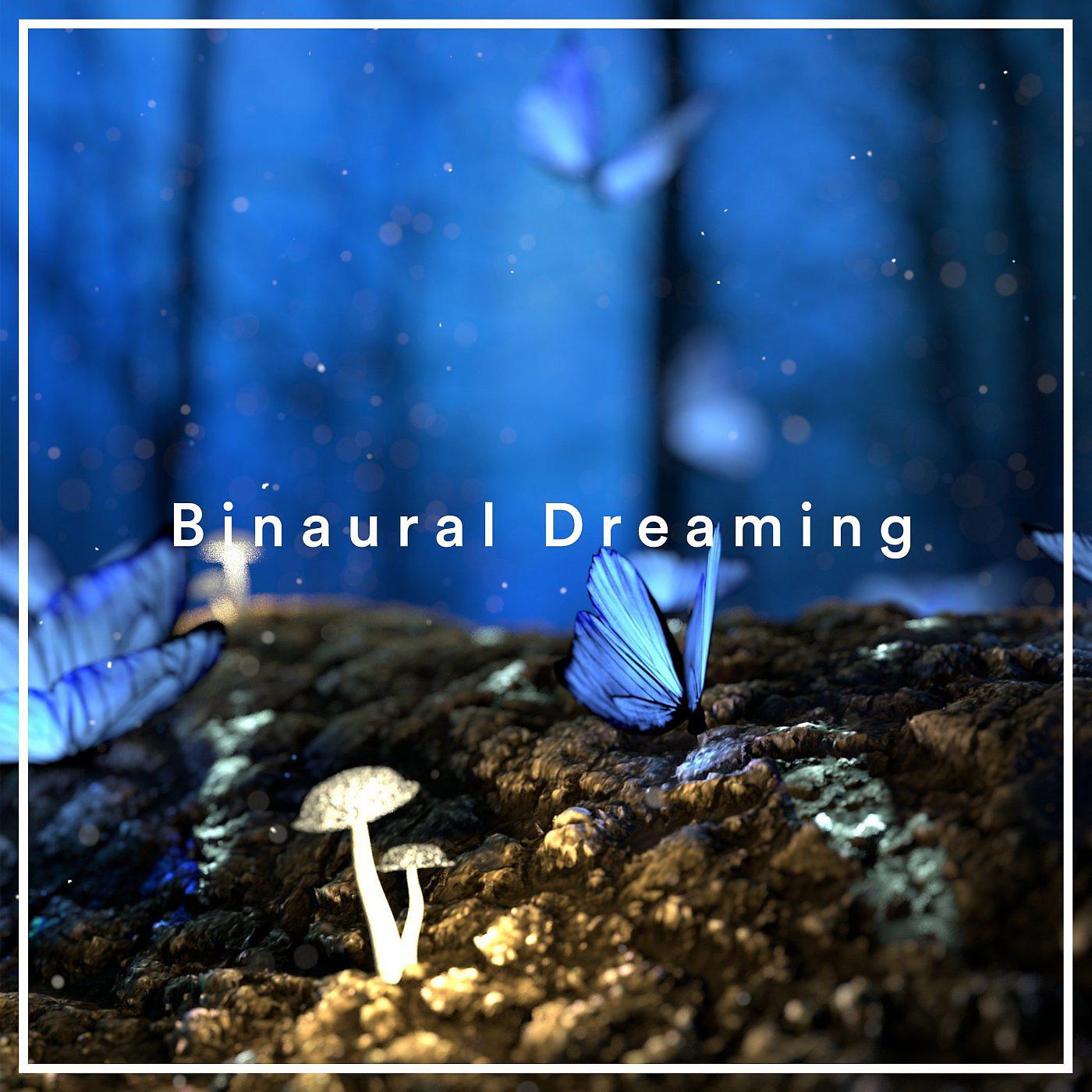 Постер альбома Binaural Dreaming