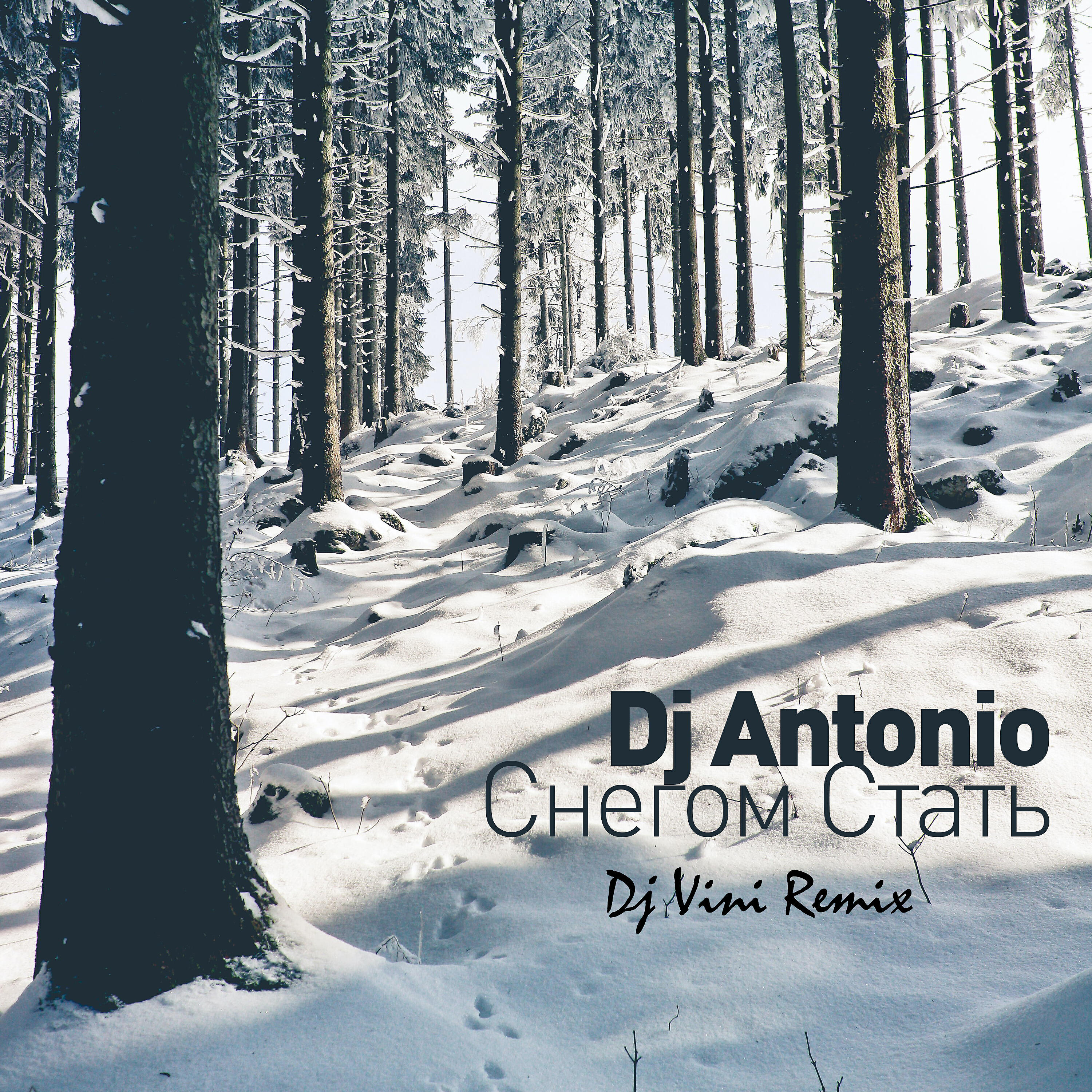 DJ Antonio - Снегом стать (Dj Vini Remix)