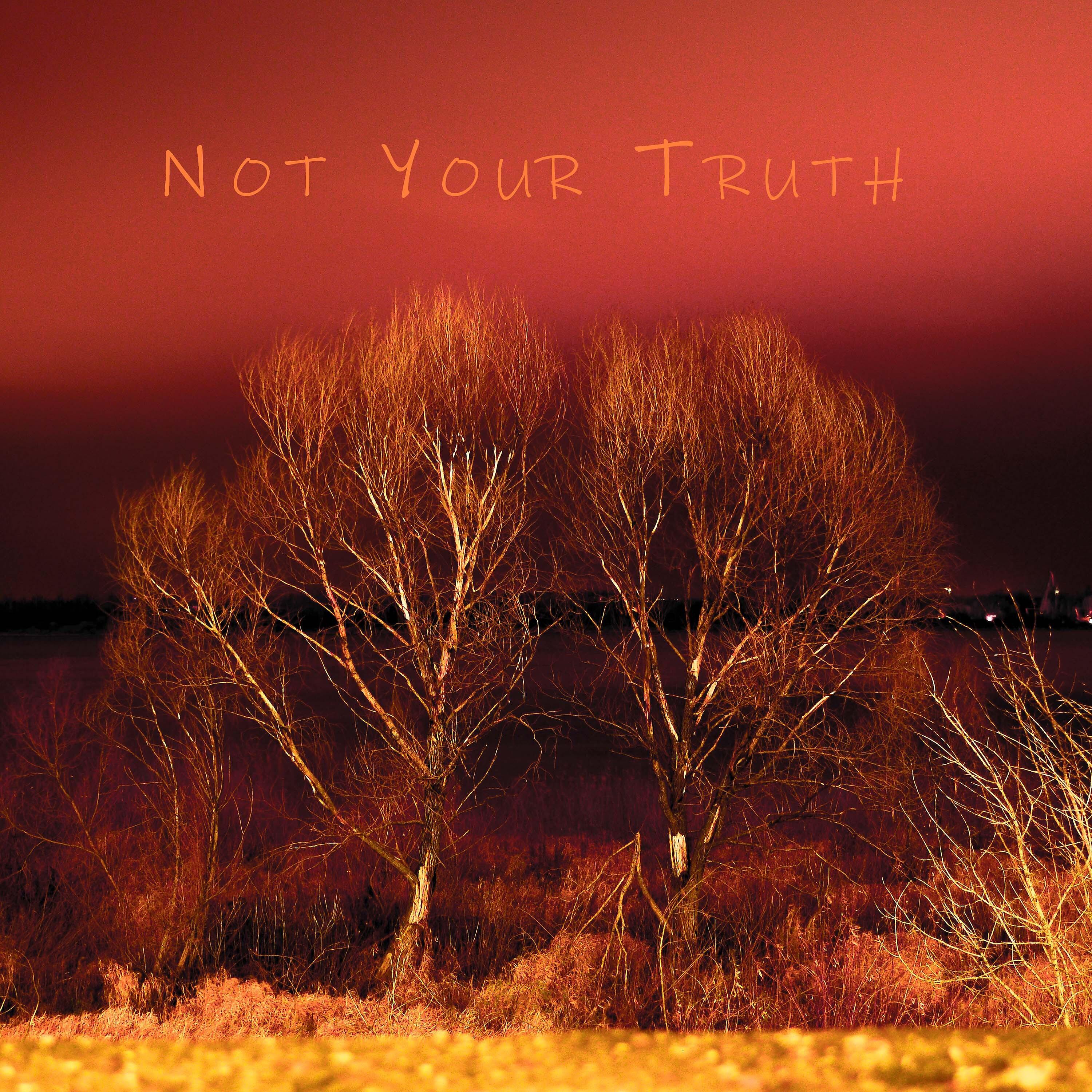 Постер альбома Not Your Truth