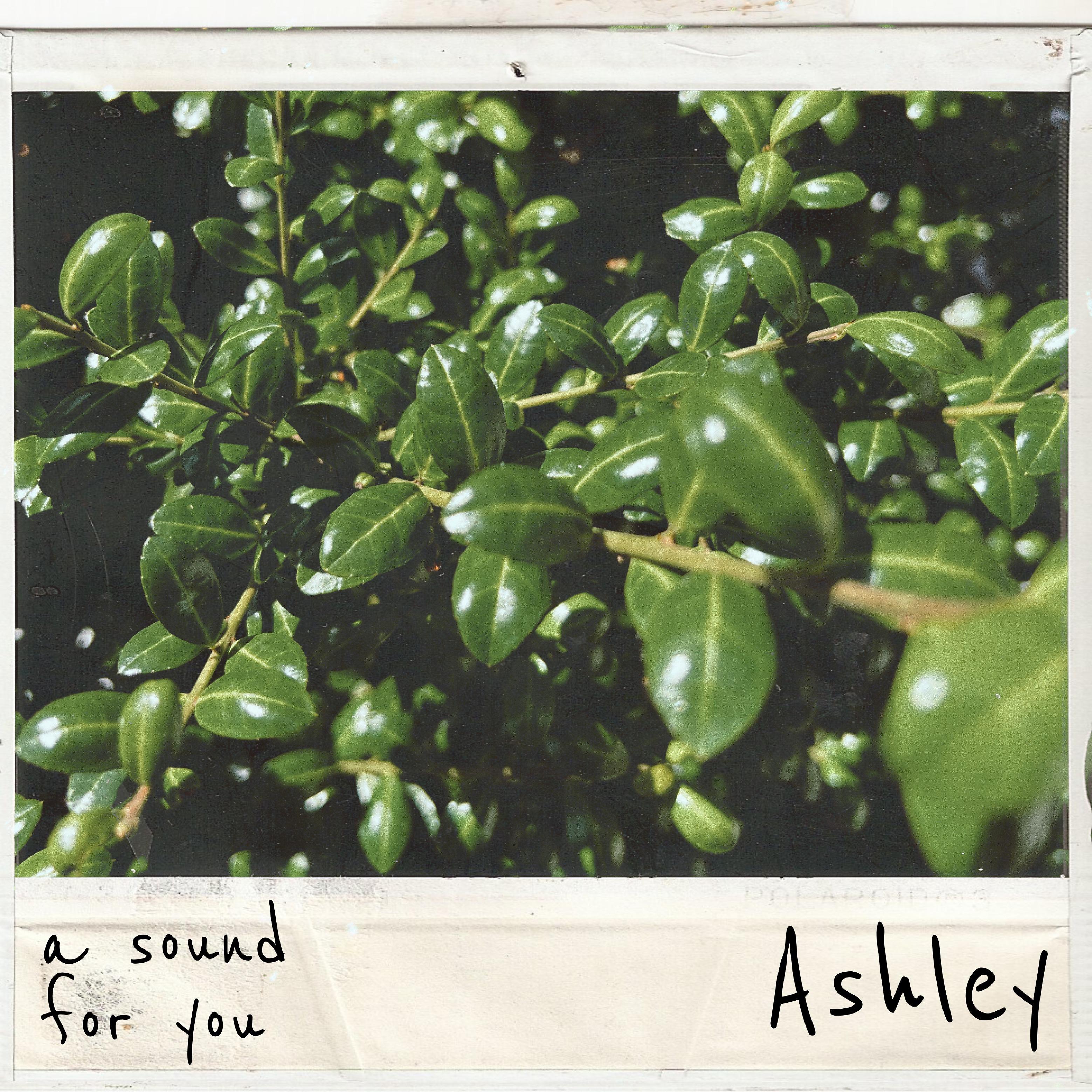 Постер альбома Ashley