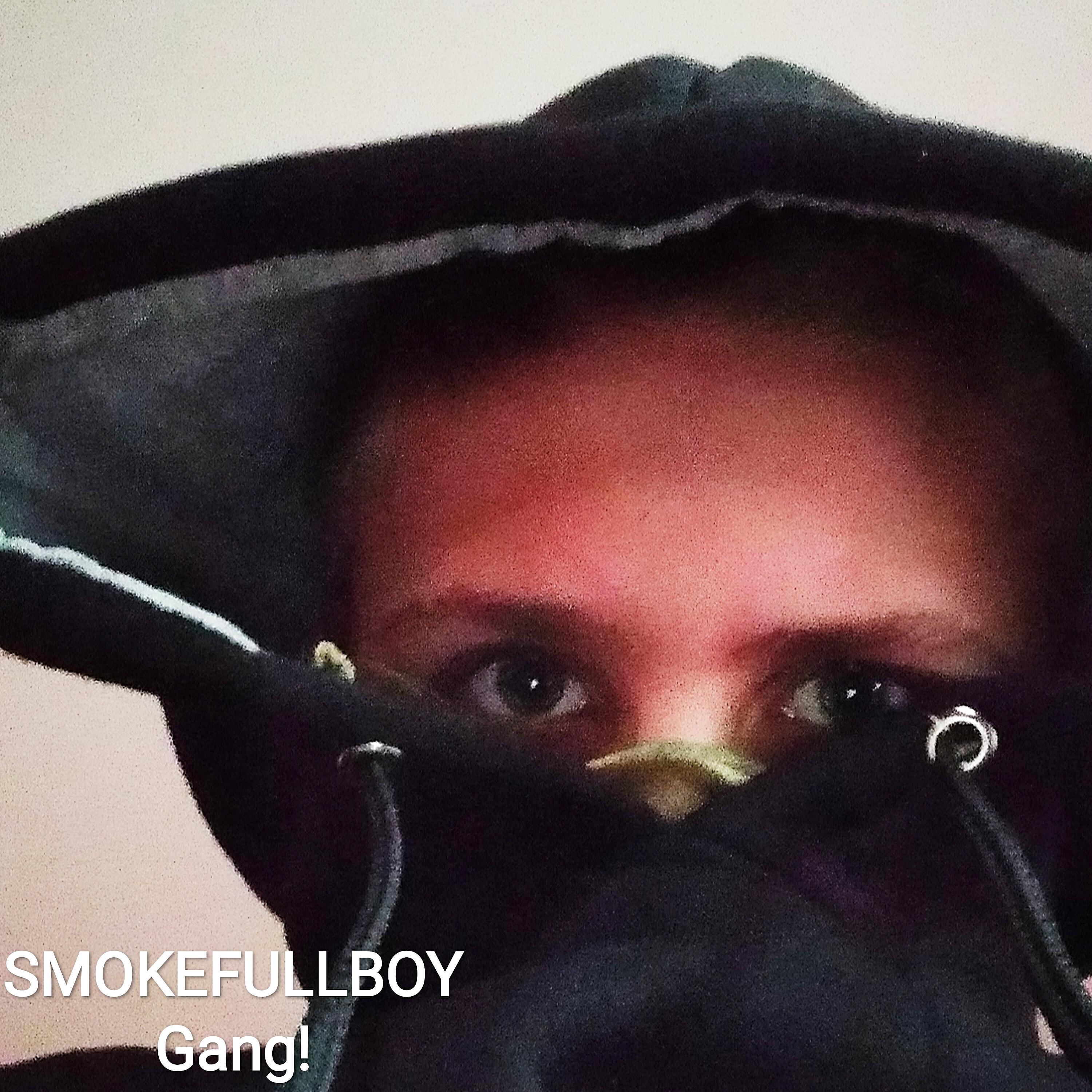 SMOKEFULLBOY - Gang!
