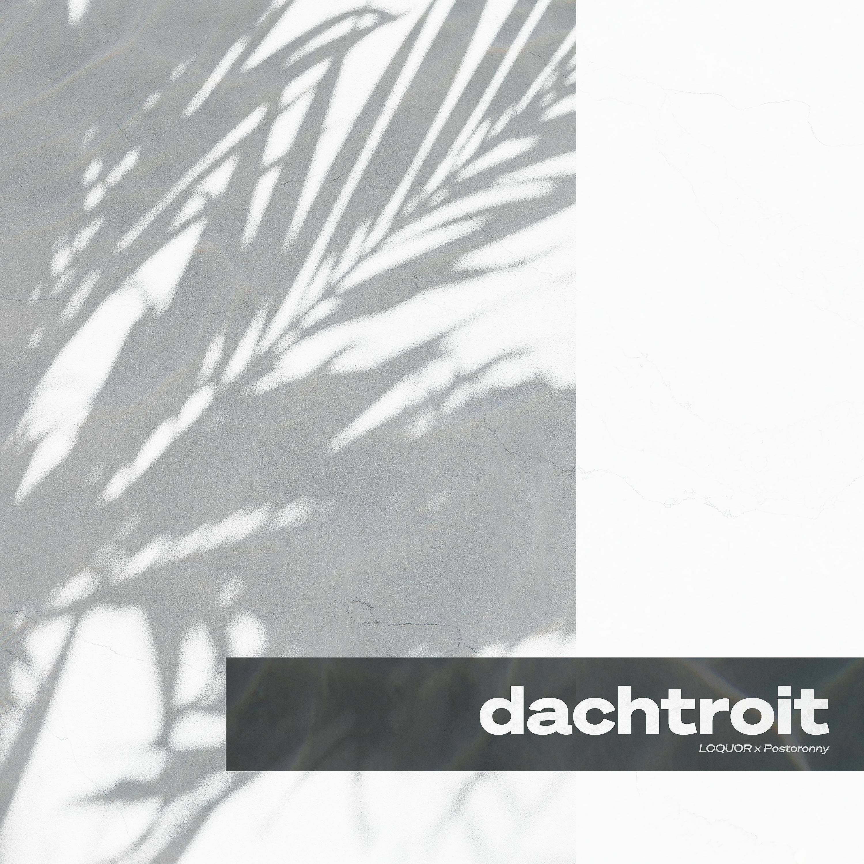 Постер альбома Dachtroit