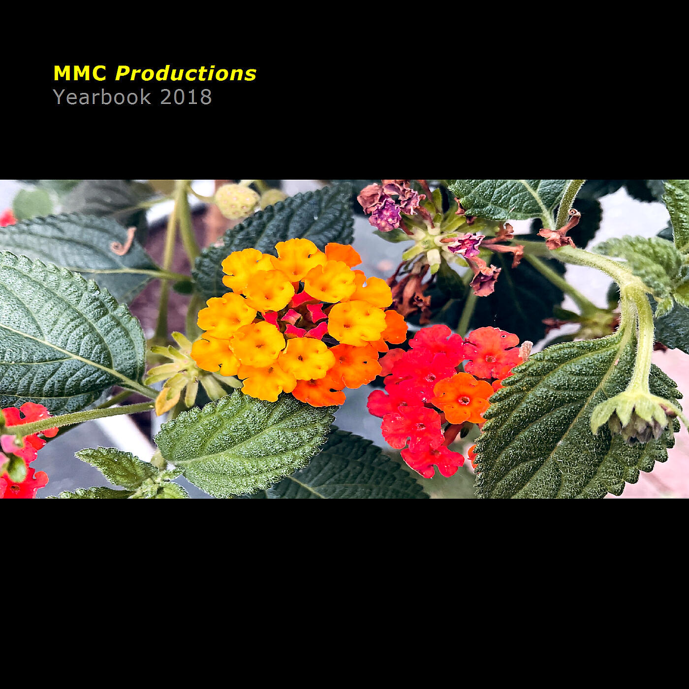 MMC Productions - Moontalk