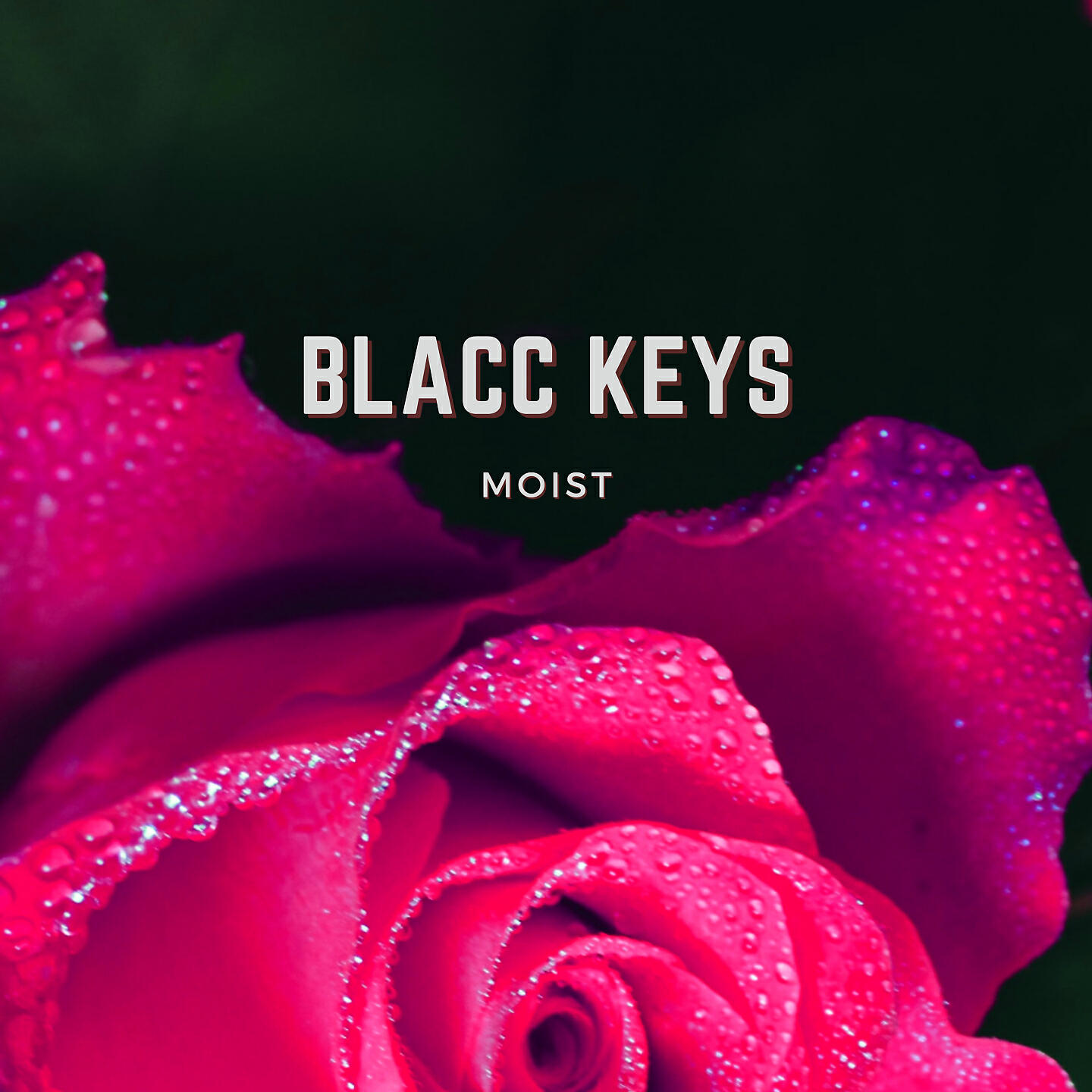 Blacc Keys - Moist