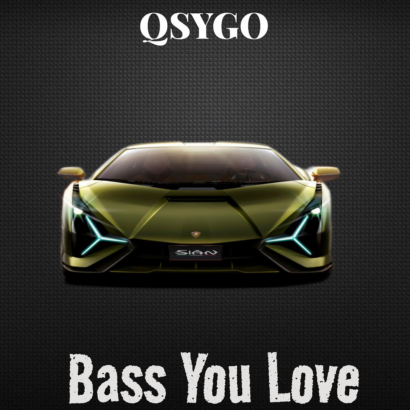 Постер альбома Bass You Love