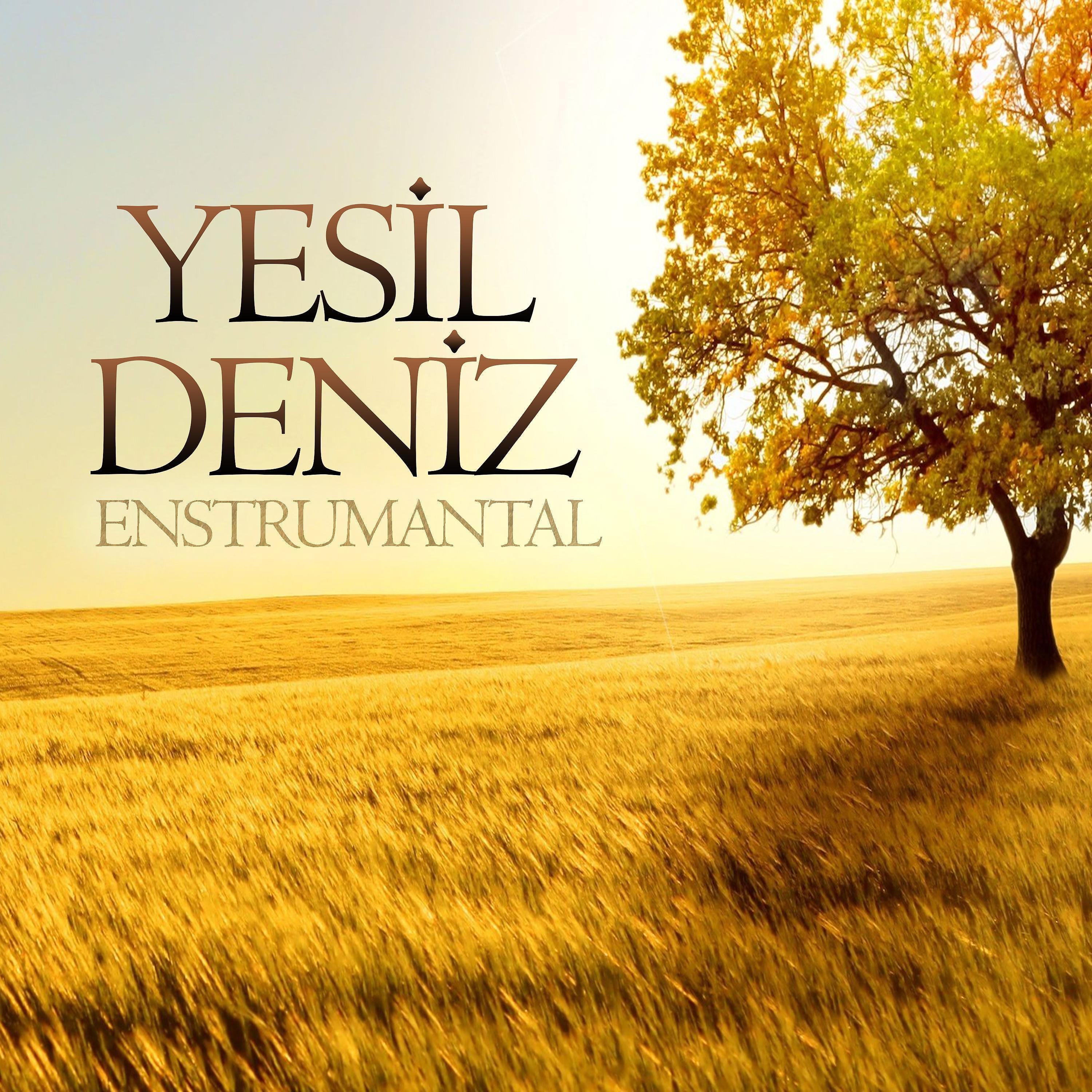 Постер альбома Yeşil Deniz