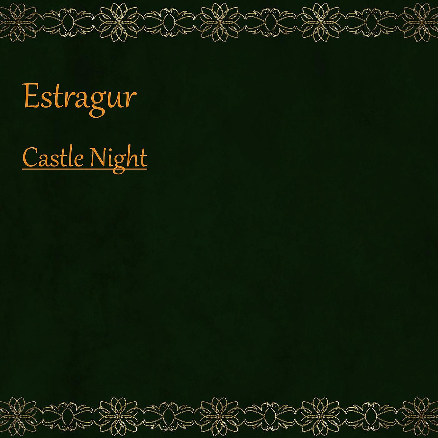 Постер альбома Castle Night