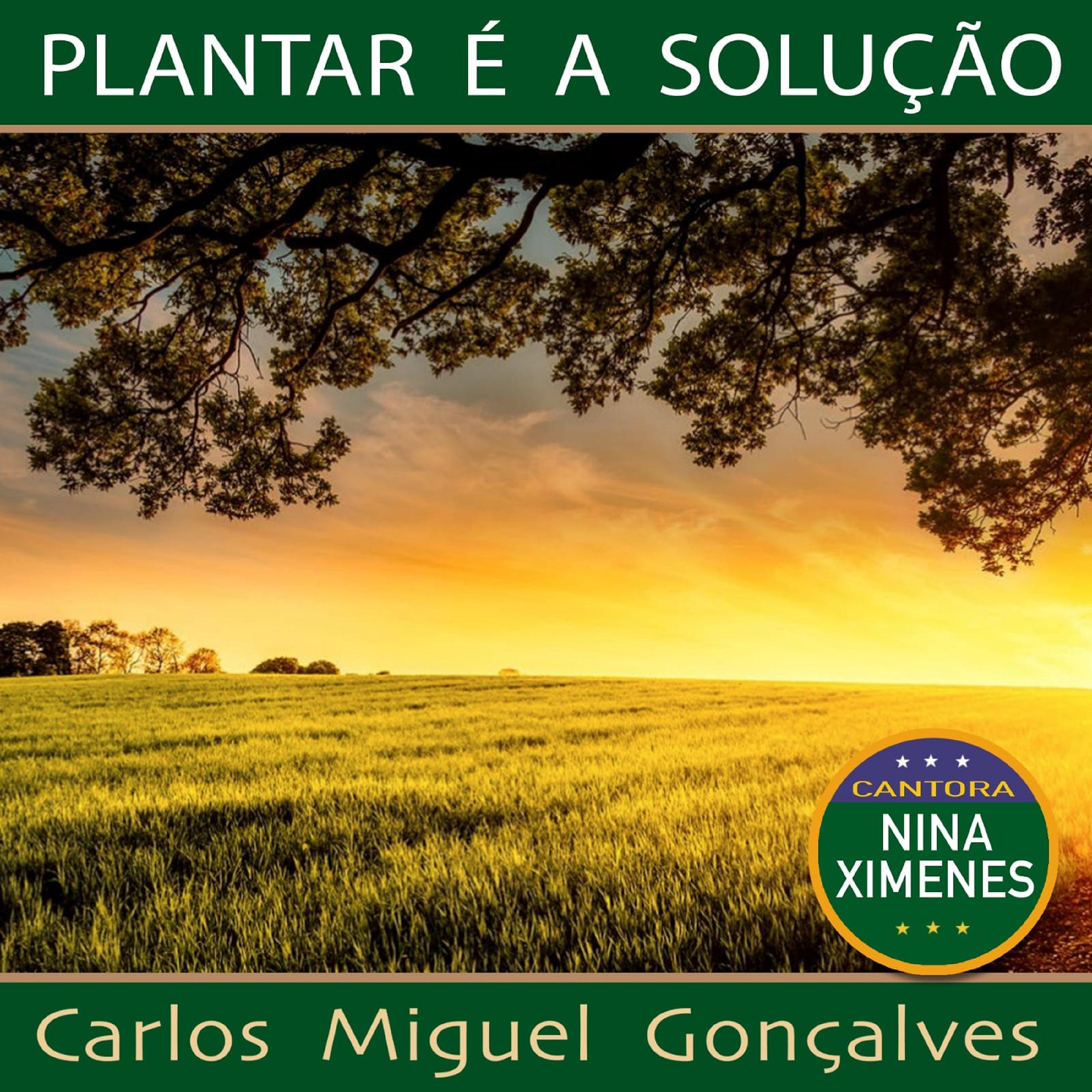 Постер альбома Plantar É a Solução