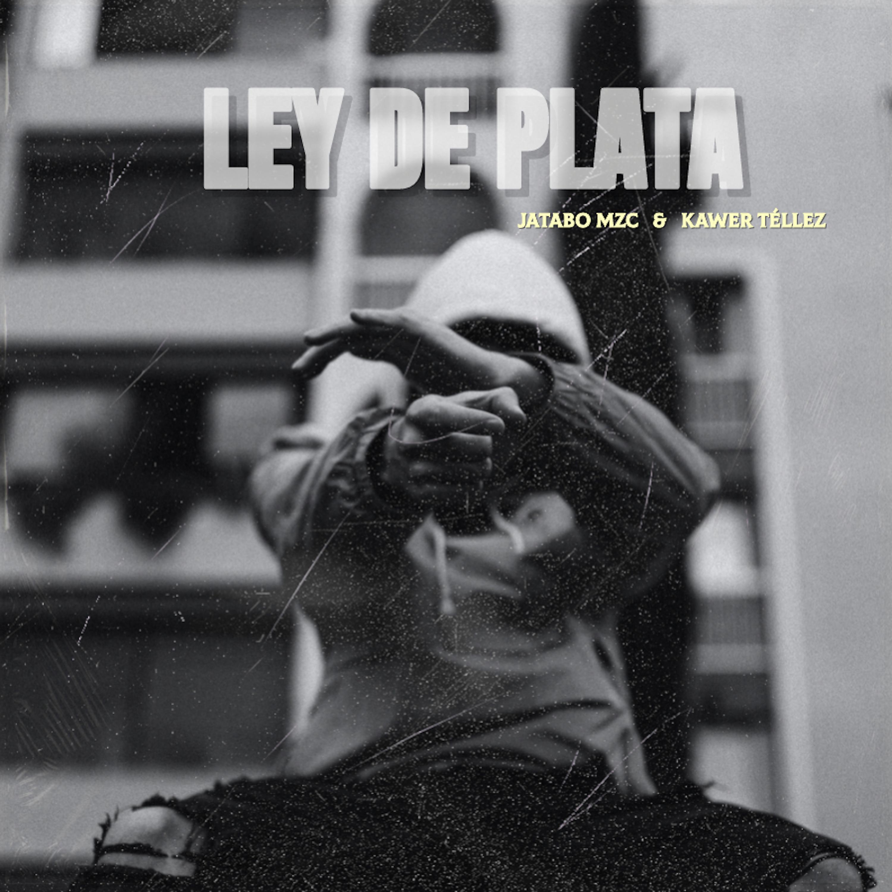 Постер альбома Ley de Plata