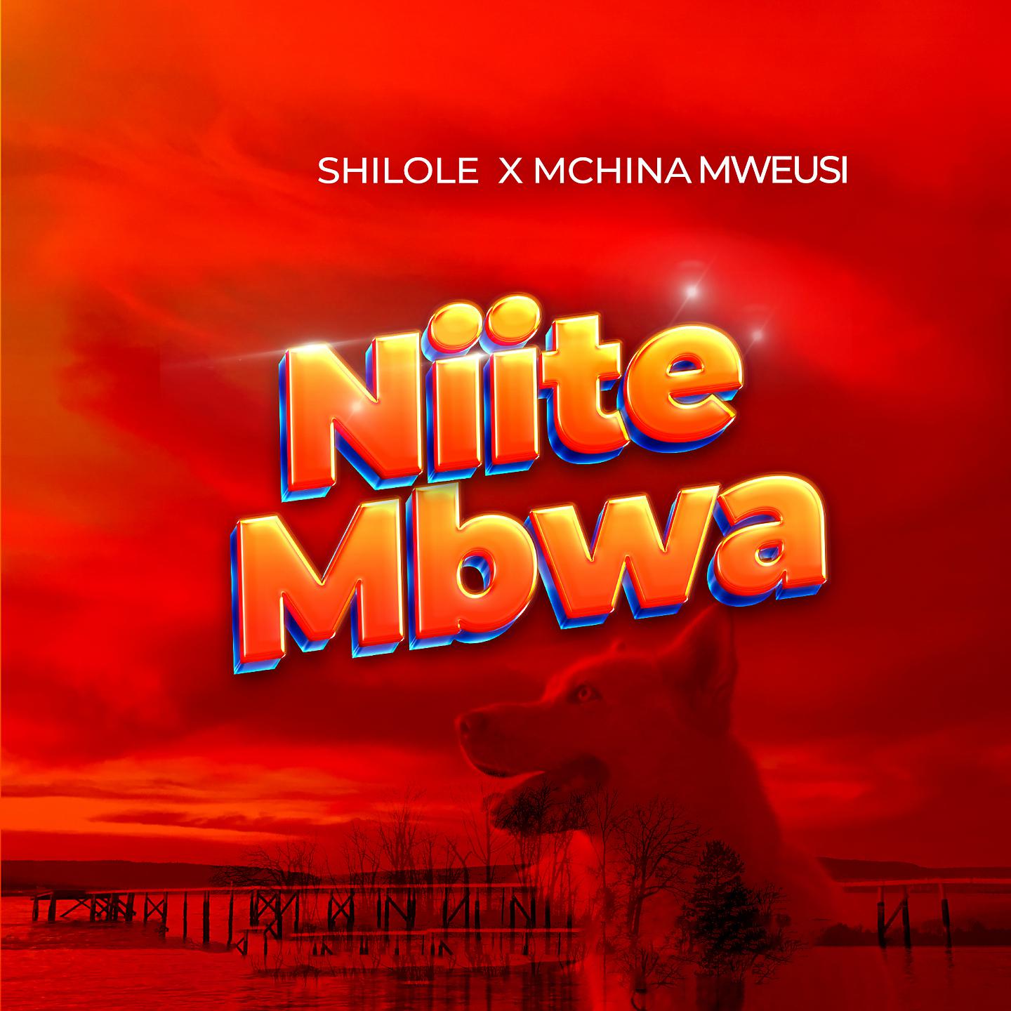 Постер альбома Niite Mbwa