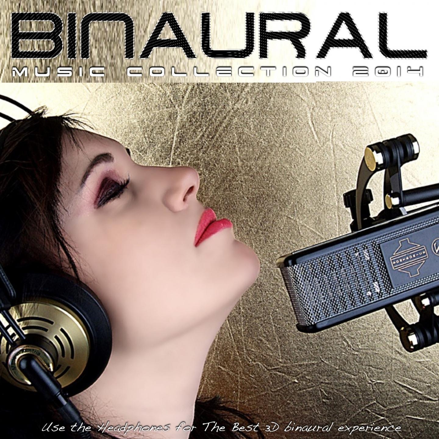 Постер альбома Binaural Music Collection 2014